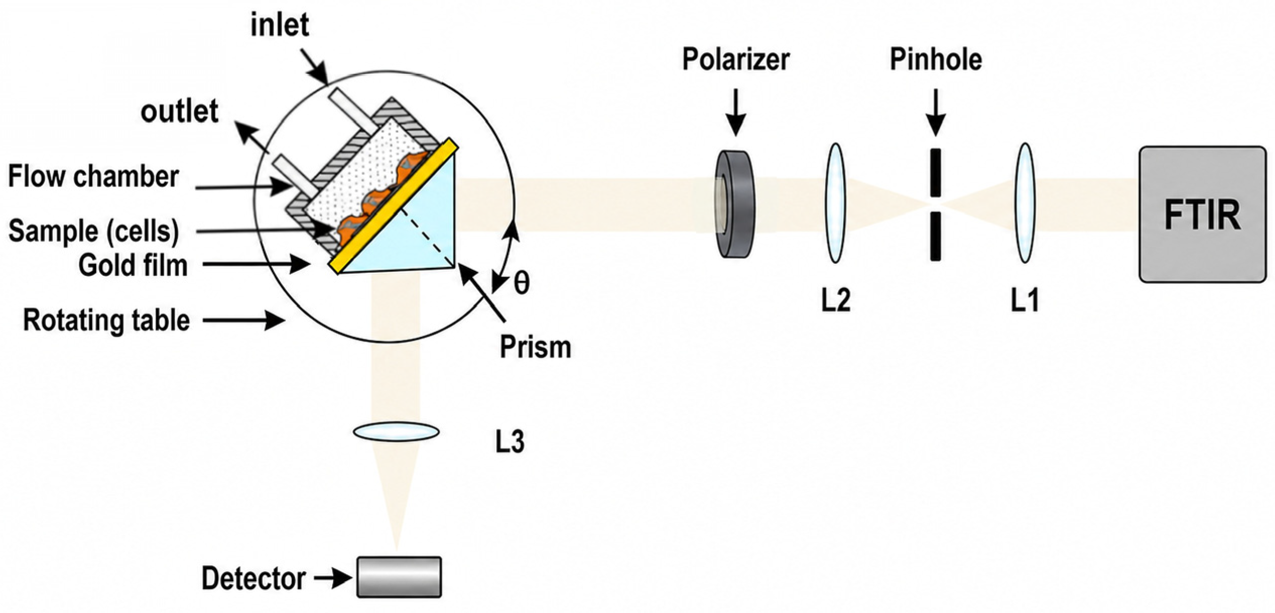 Biosensors 16 00332 g005