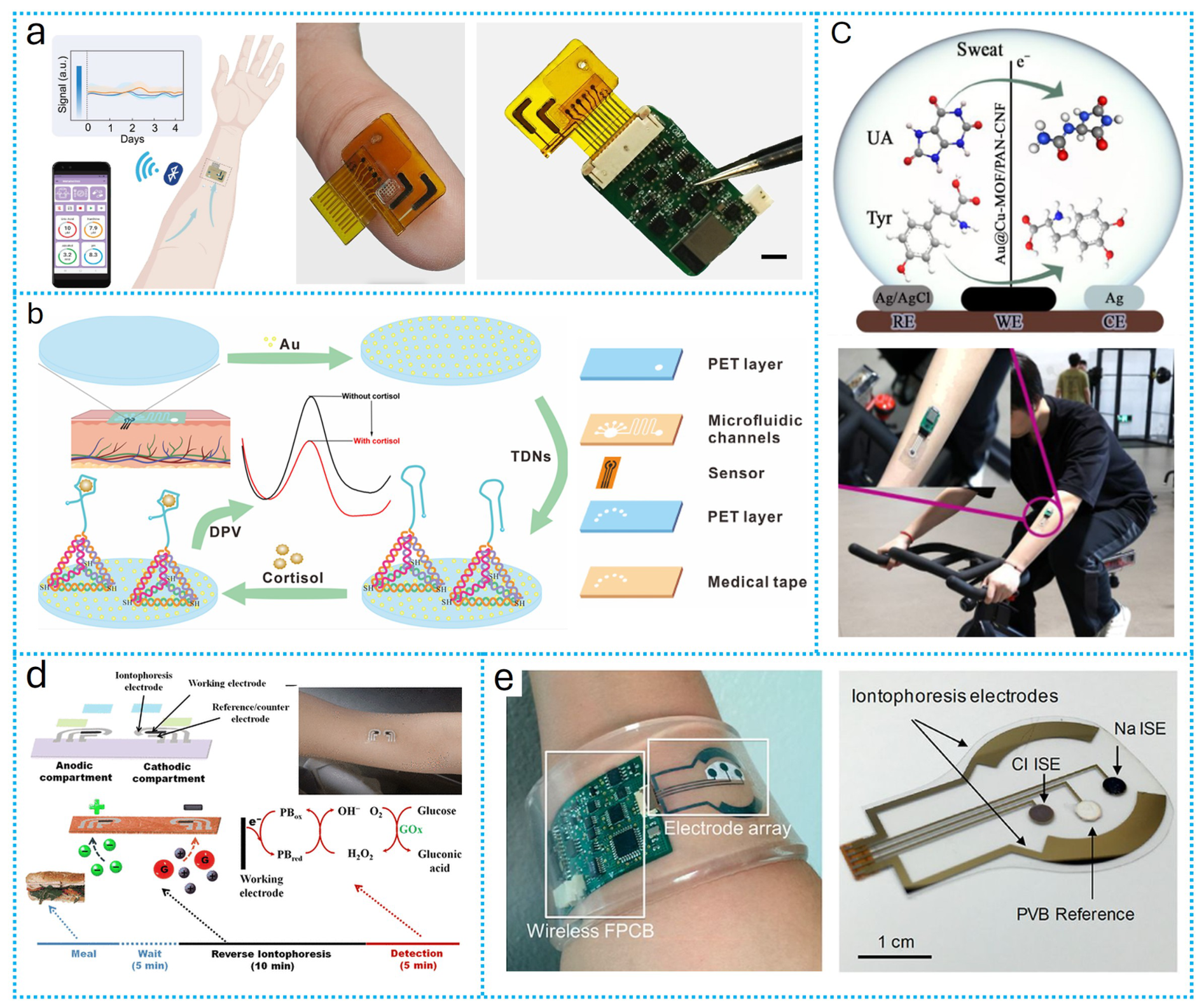 Biosensors 16 00336 g005 Biosensors 16 00336 g005