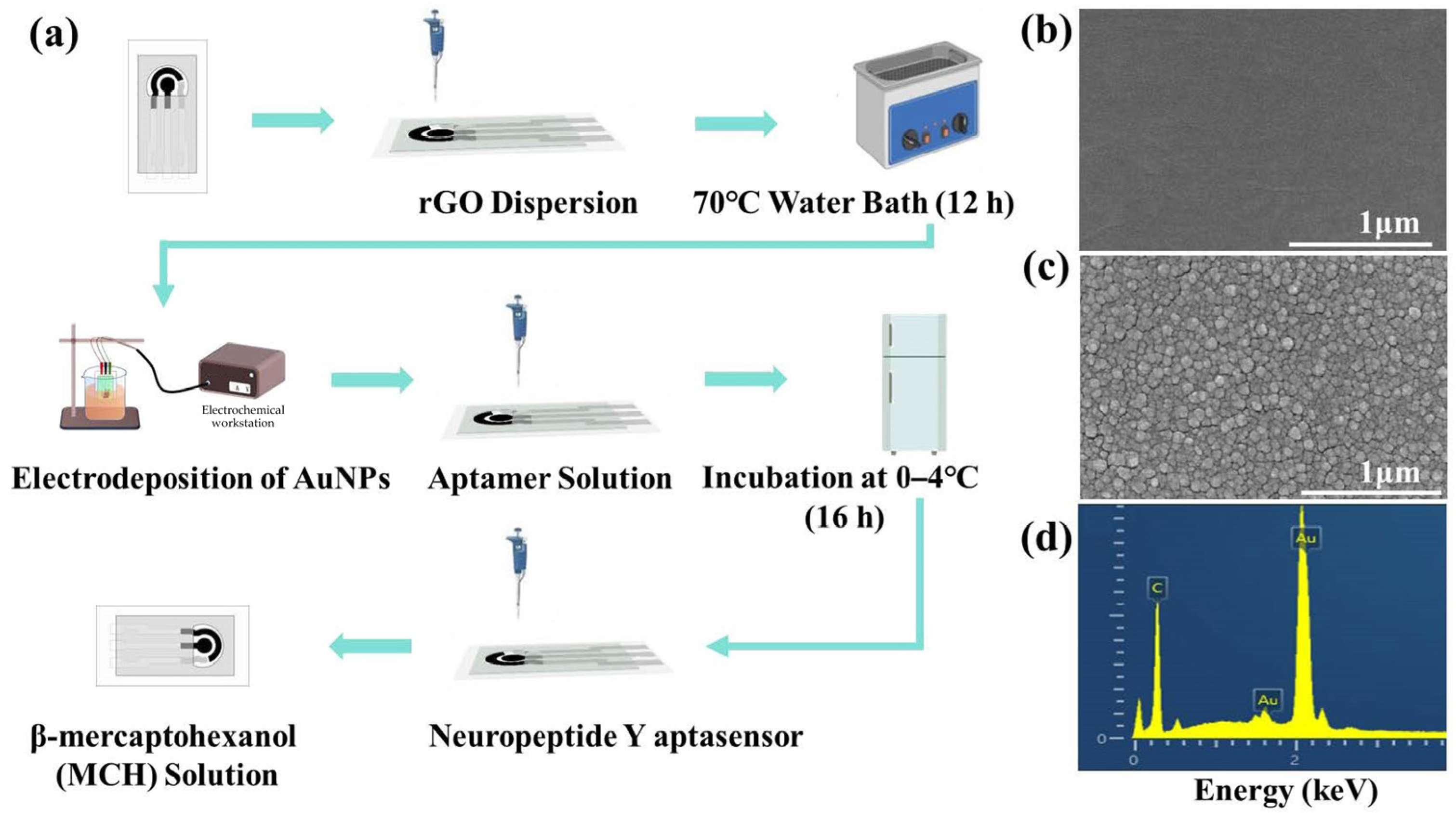 Biosensors 16 00363 g001