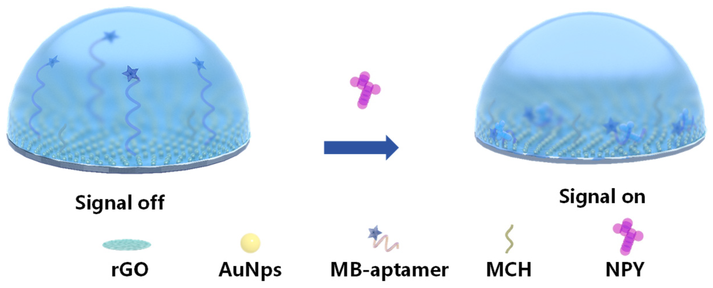 Biosensors 16 00363 sch001