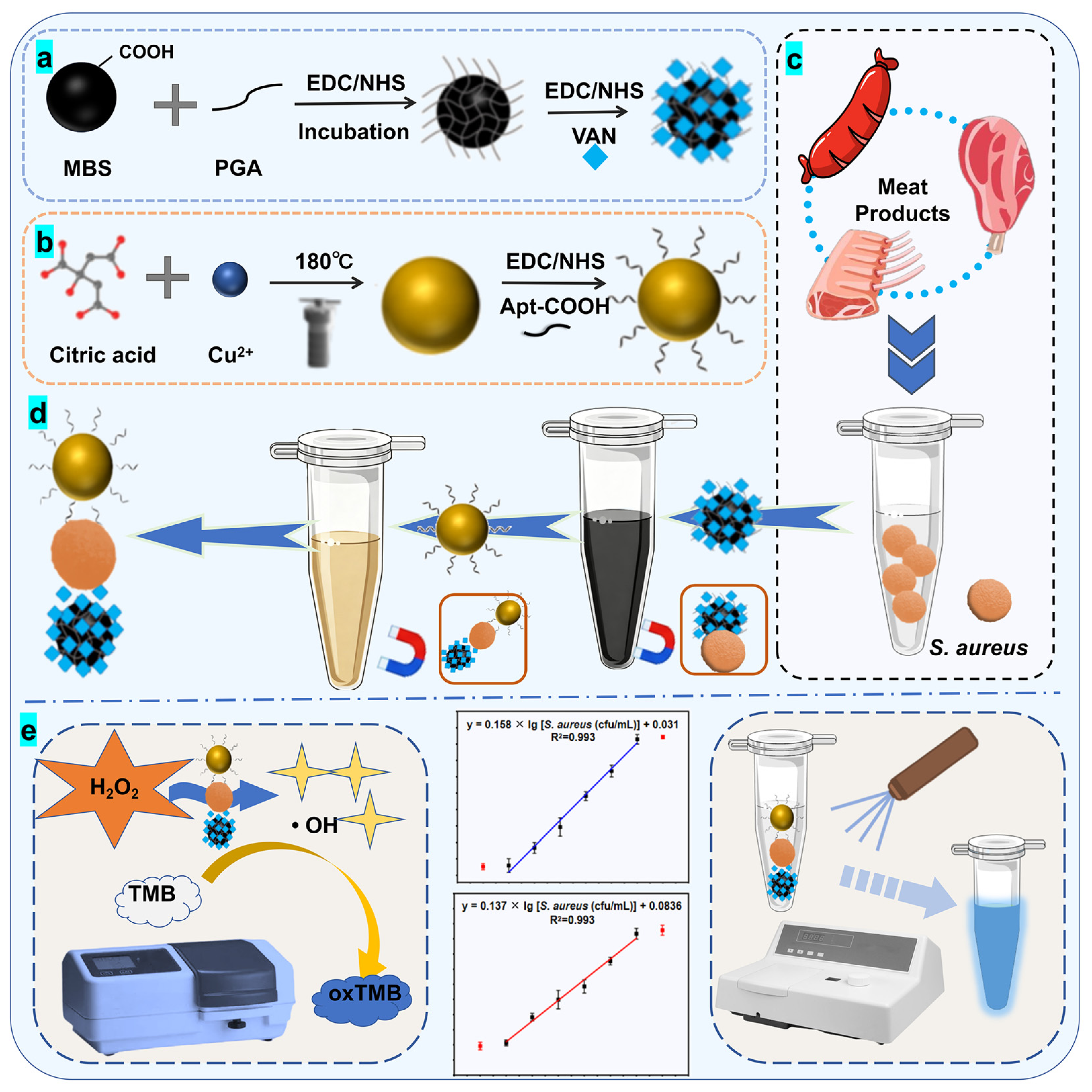 Biosensors 16 00403 g001