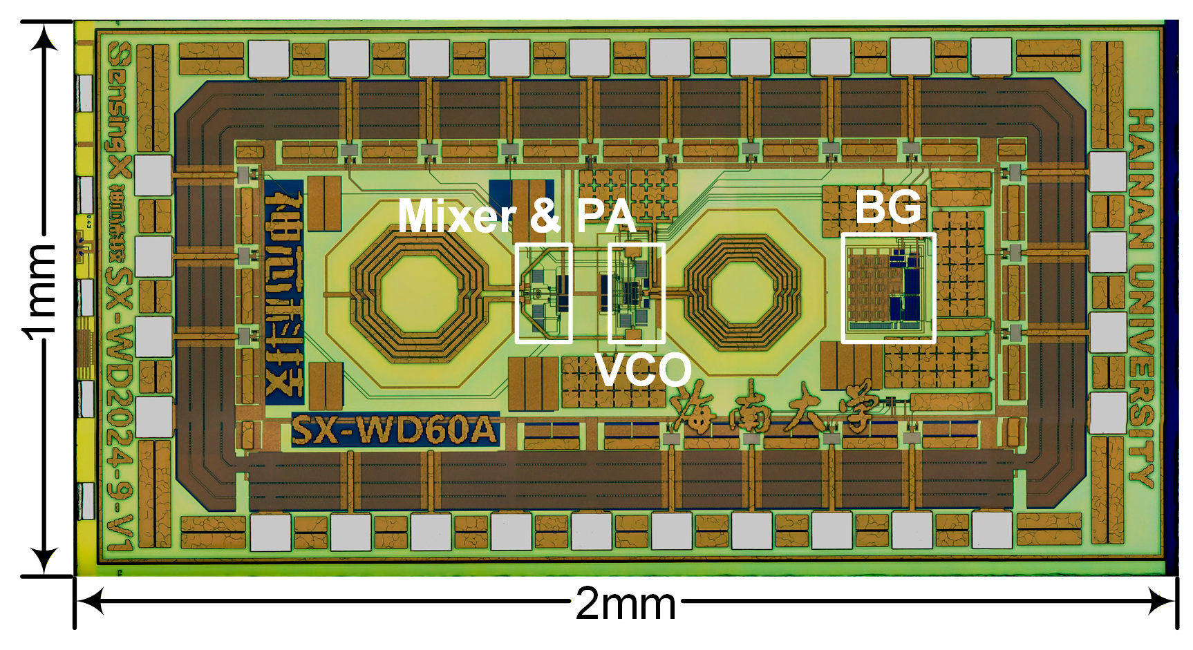Biosensors 16 00405 g004