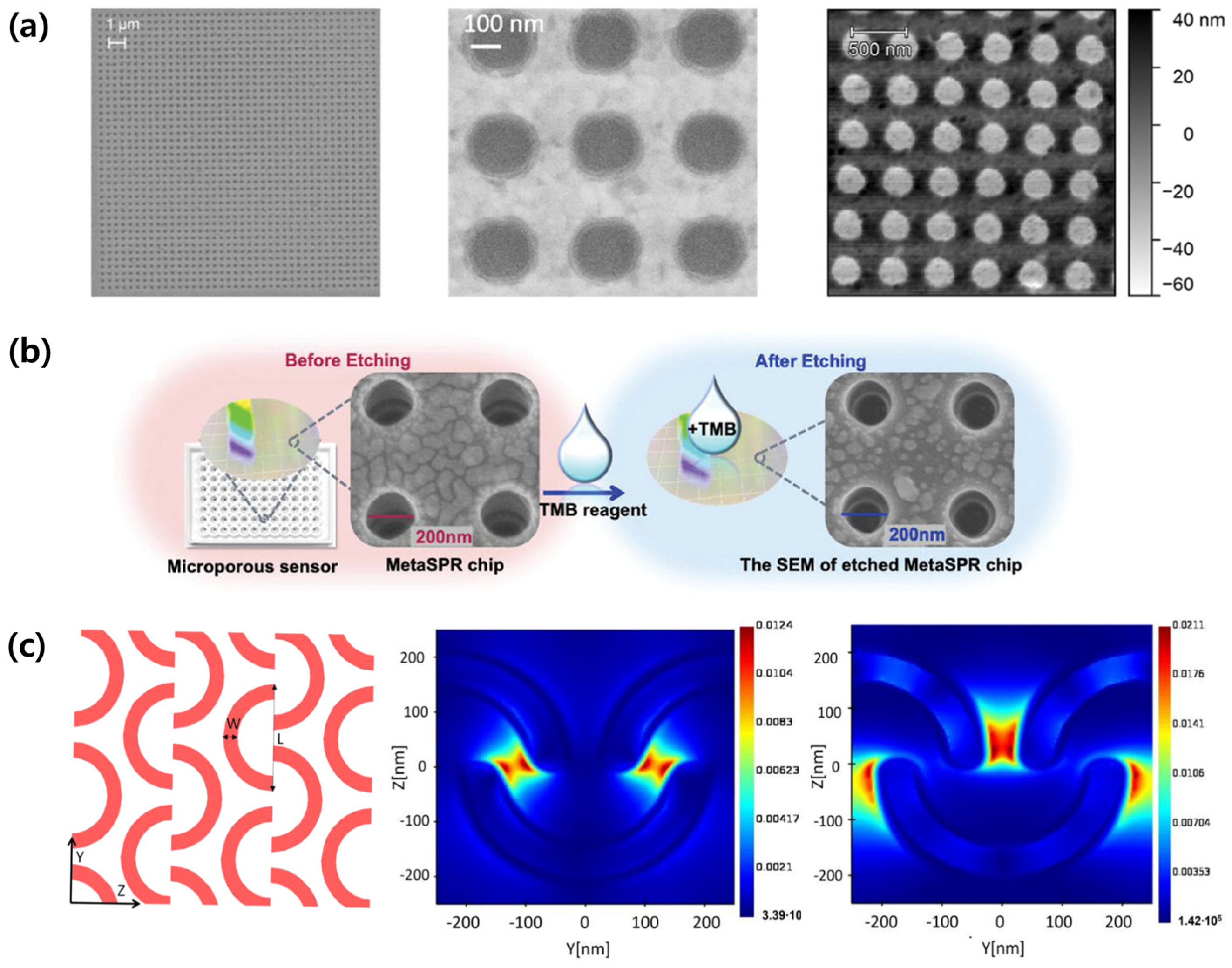 Plasmonic Nanoarray Biosensors for Non-Invasive Cancer Diagnostics