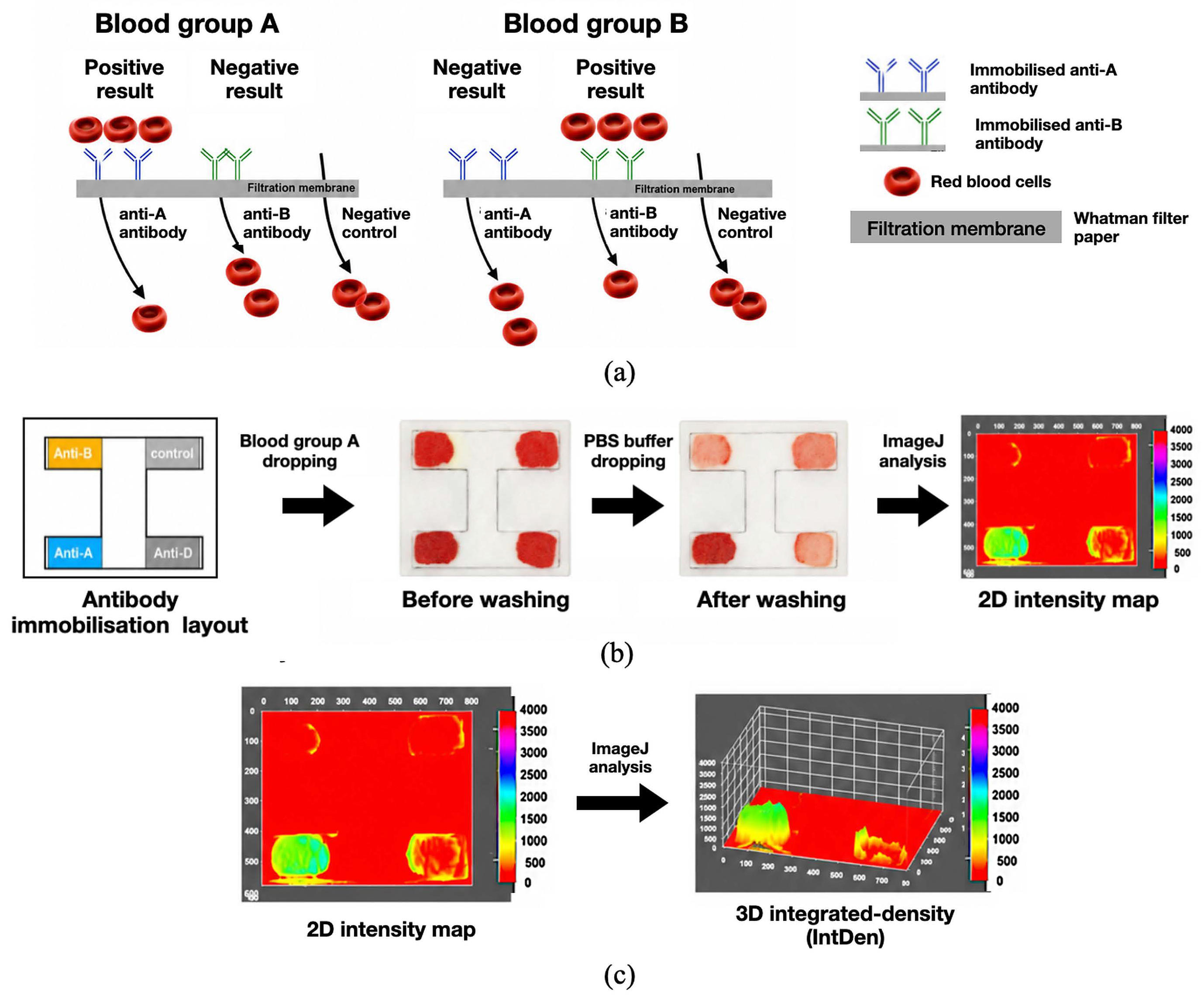 Biosensors 16 00468 g005