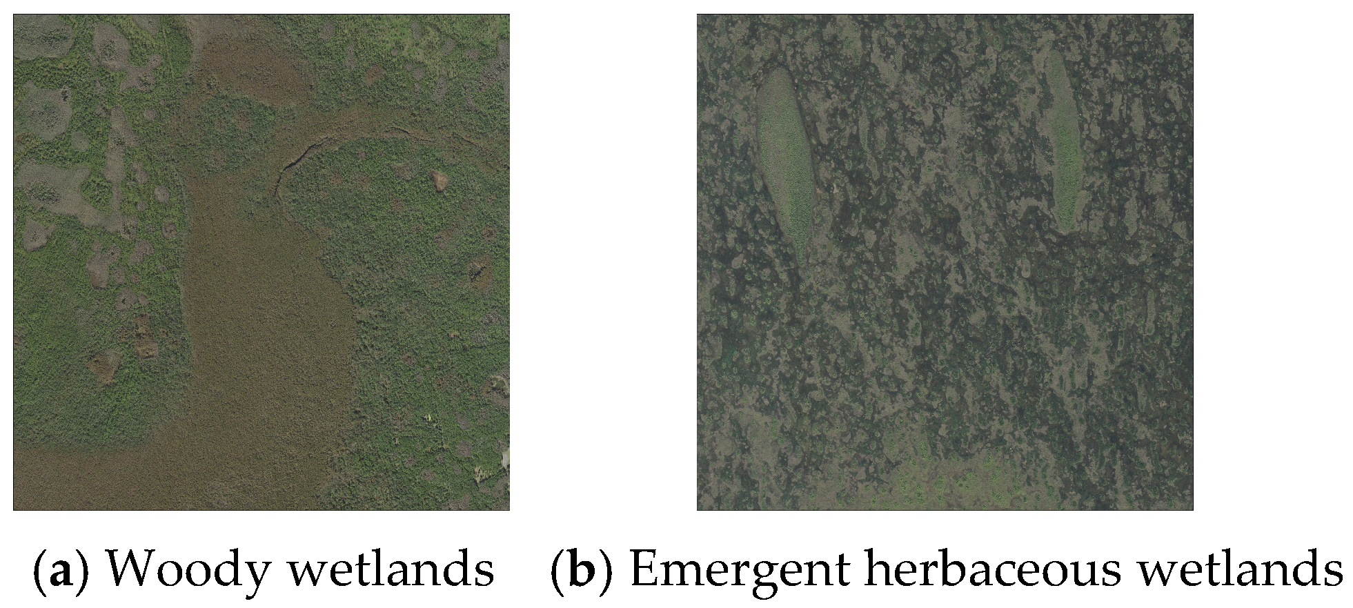 Biosphere 01 00002 g005