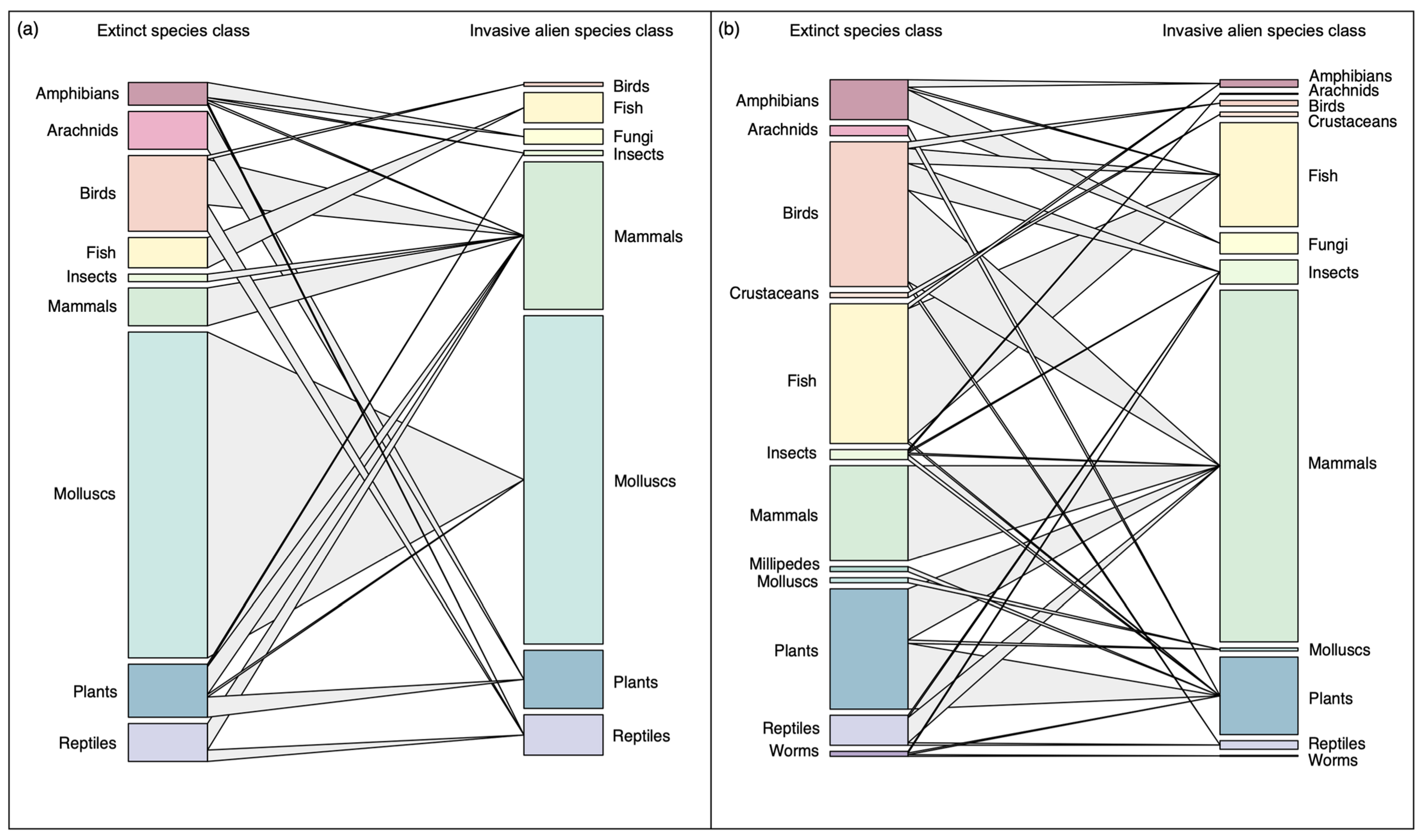 Alien Classification The Link Between Invasive Alien Species and Extinction