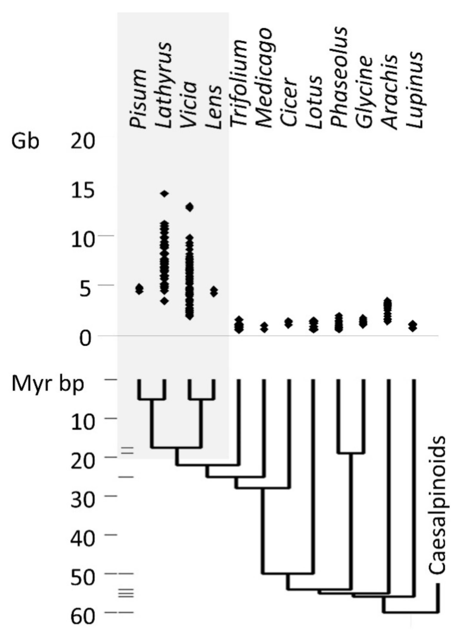 Biotech 09 00024 g001 Biotech 09 00024 g001