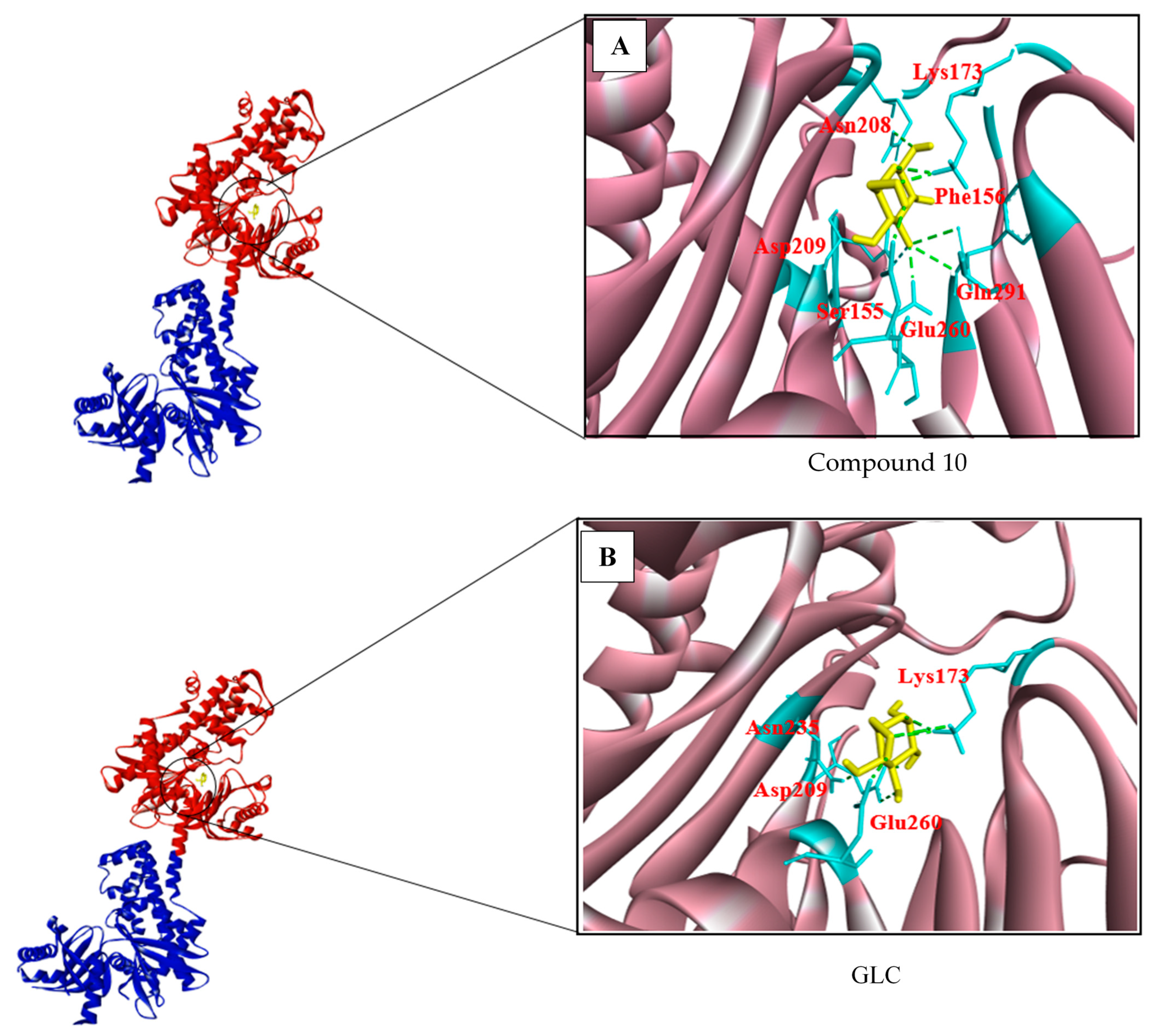 Biotech 10 00001 g002