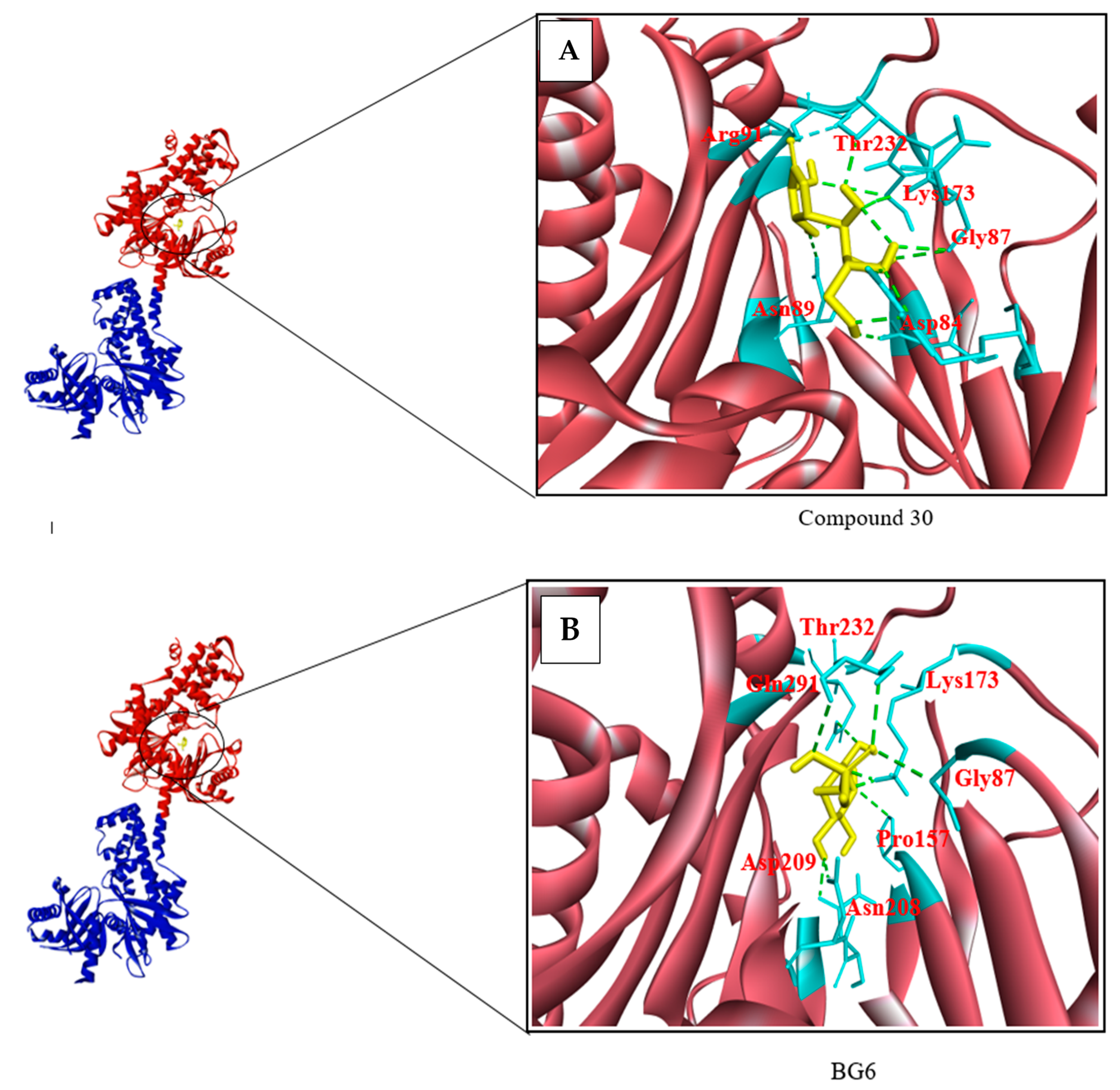 Biotech 10 00001 g003