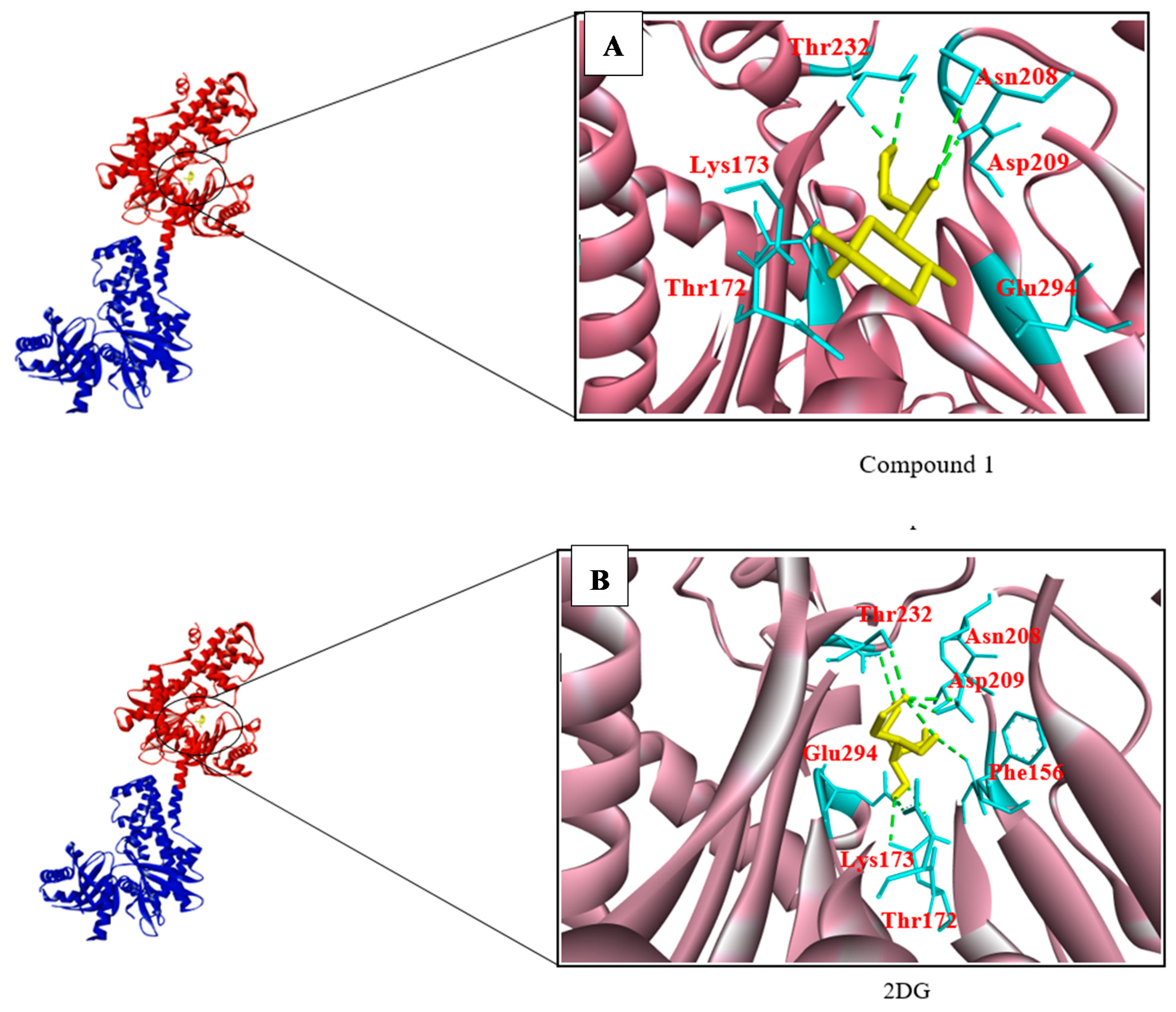 Biotech 10 00001 g004