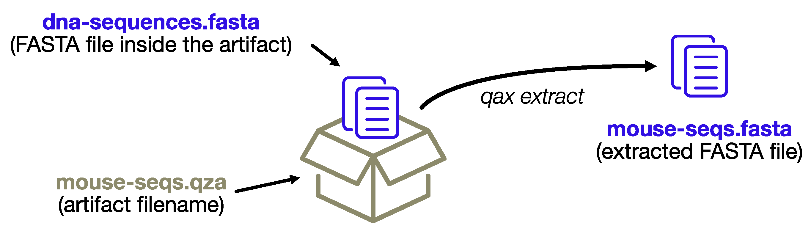 Biotech 10 00005 g002