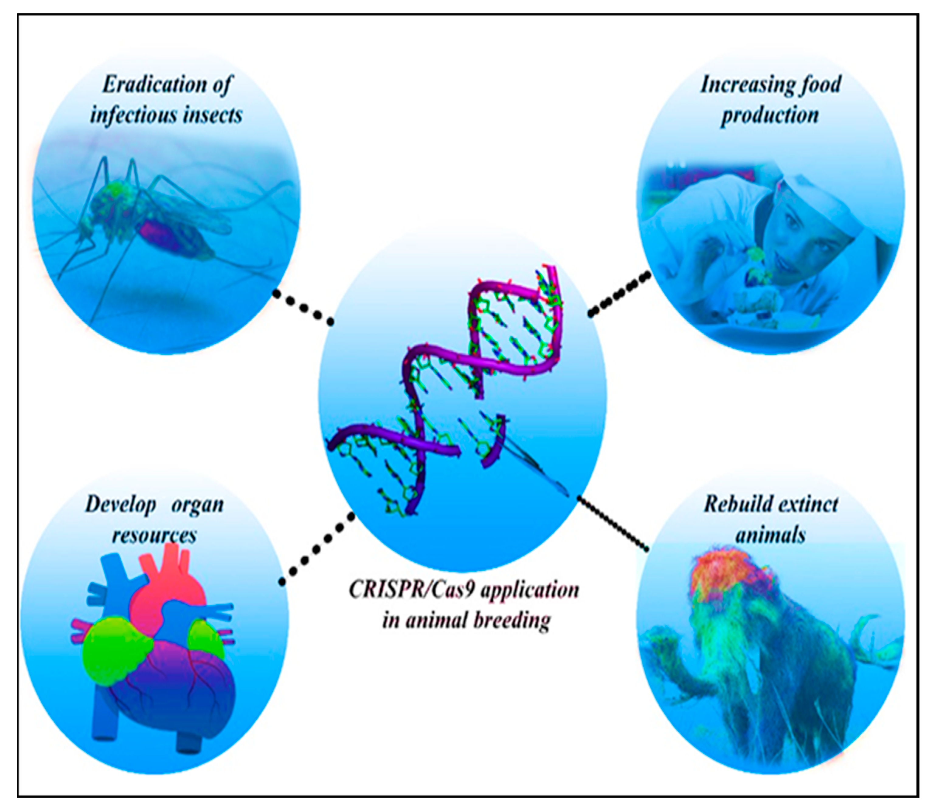 BioTech | Free Full-Text | Applications of CRISPR-Cas9 as an Advanced Genome Editing System in Life Sciences BioTech | Free Full-Text | Applications of CRISPR-Cas9 as an Advanced Genome Editing System in Life Sciences