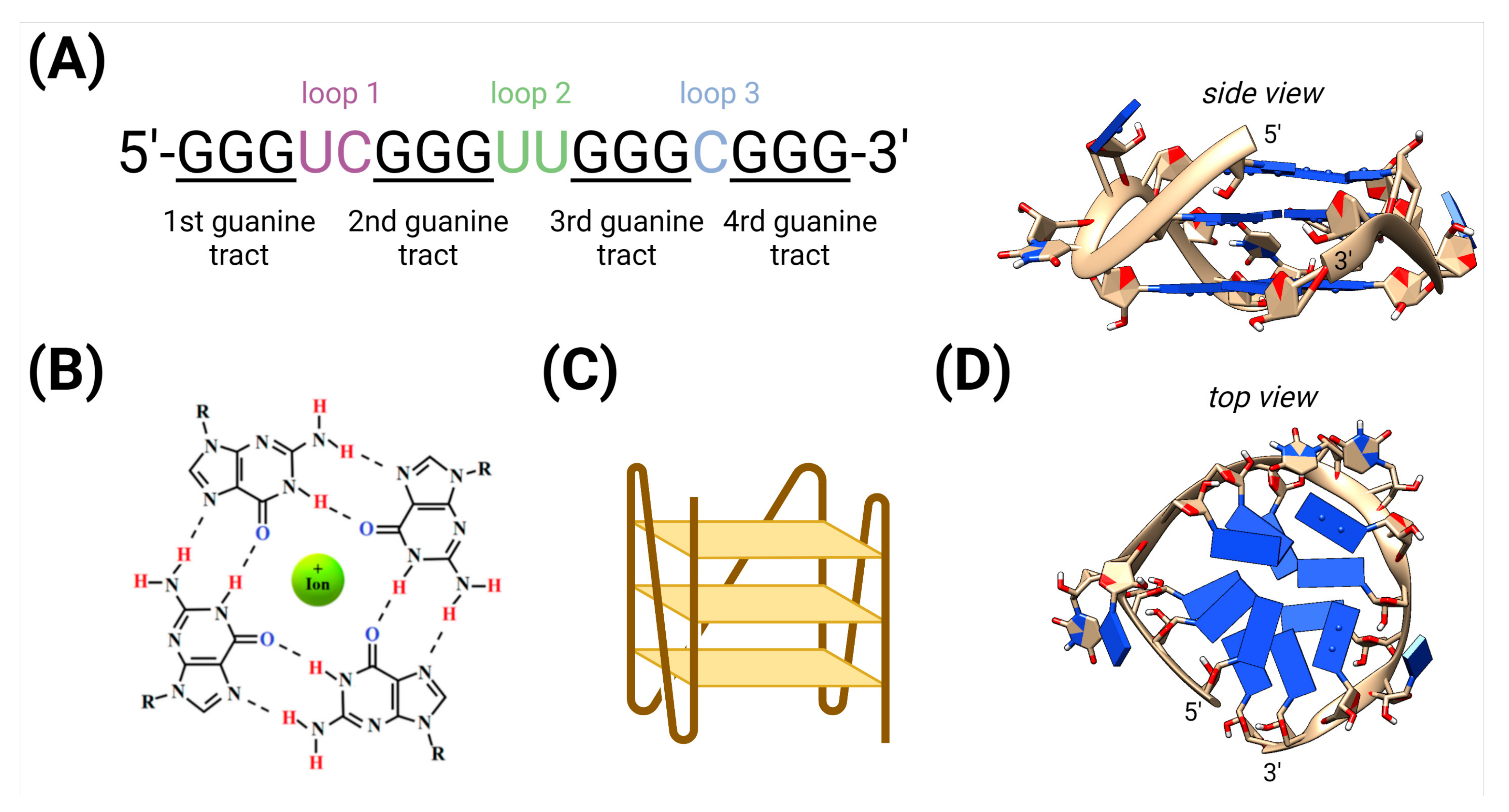 Biotech 10 00020 g001