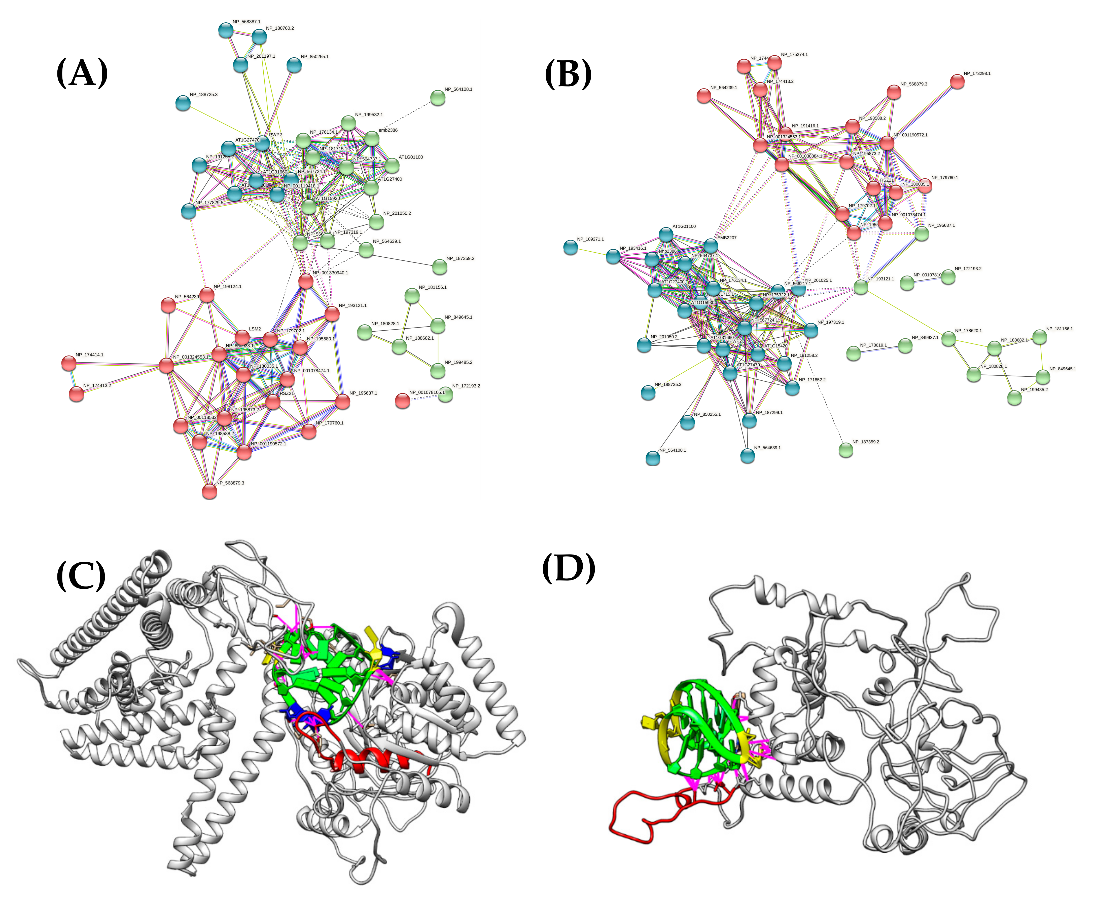 Biotech 10 00020 g002