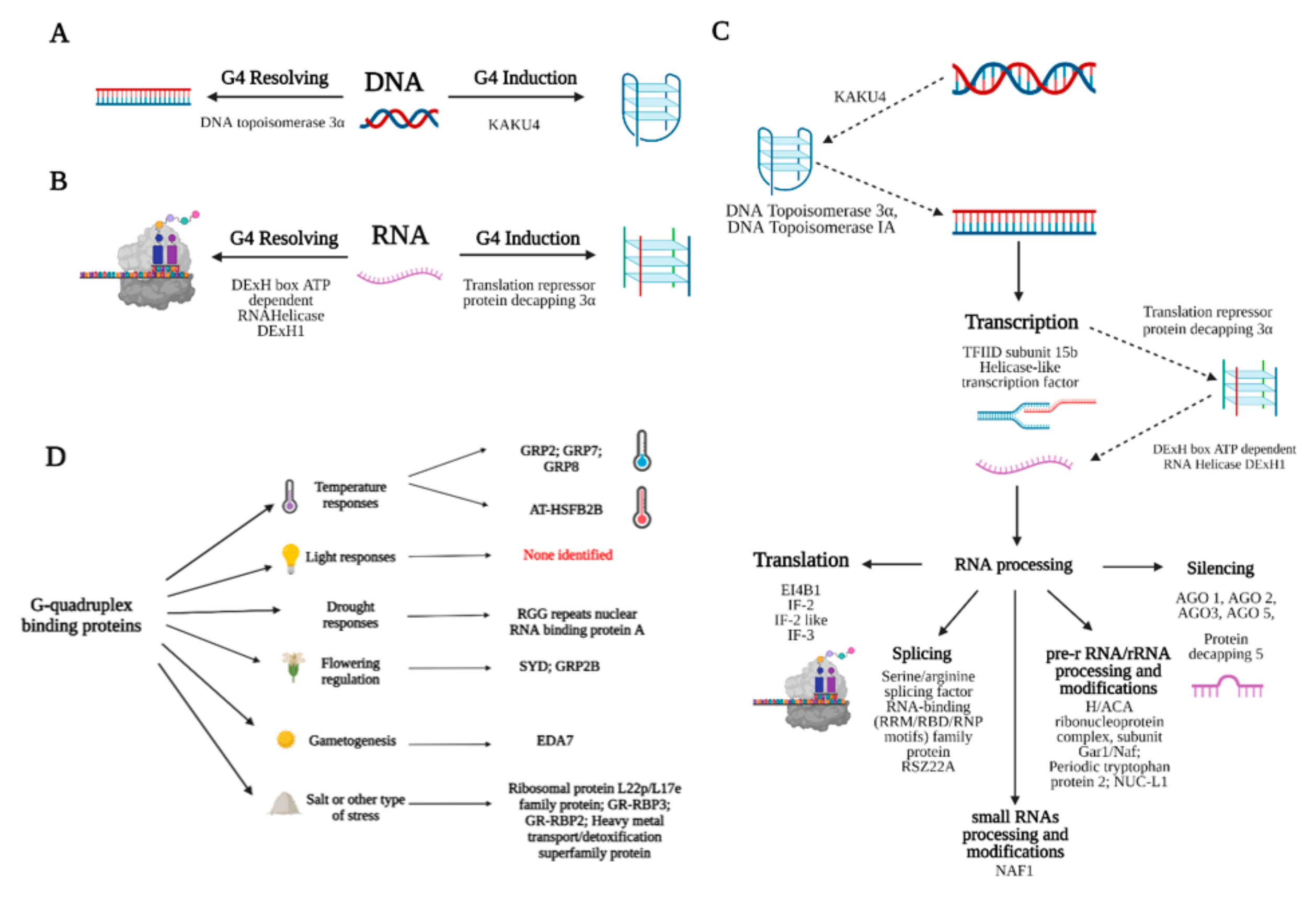 Biotech 10 00020 g004