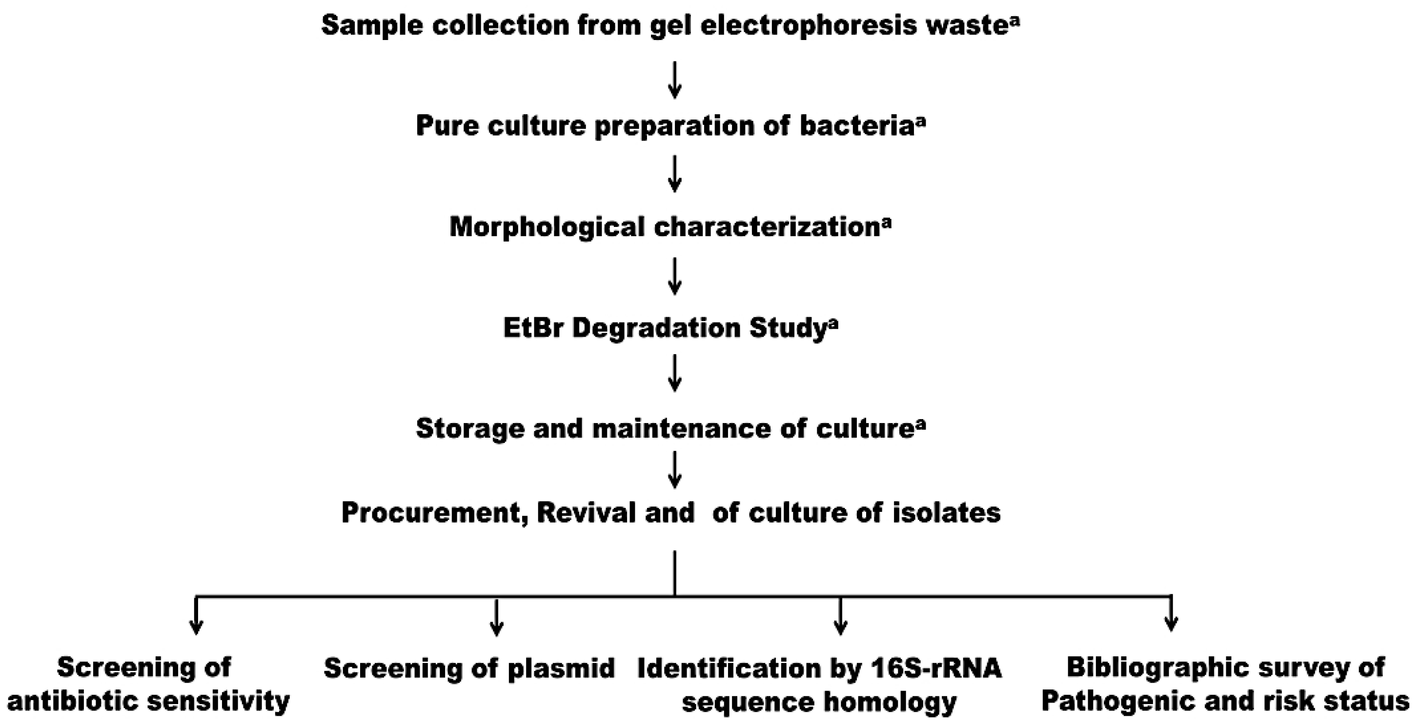BioTech Free FullText The Identification of Ethidium Bromide