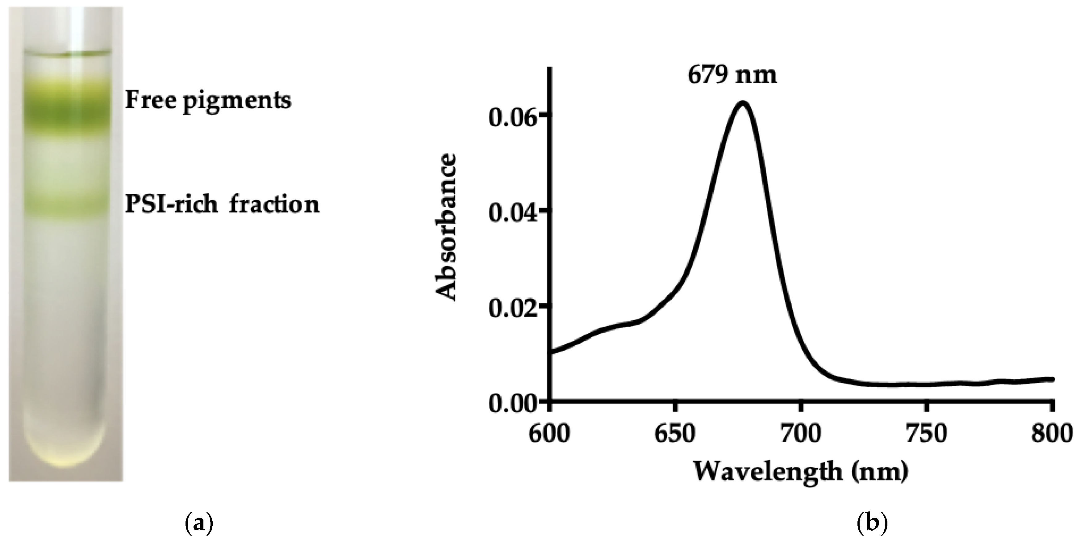Biotech 11 00009 g001a
