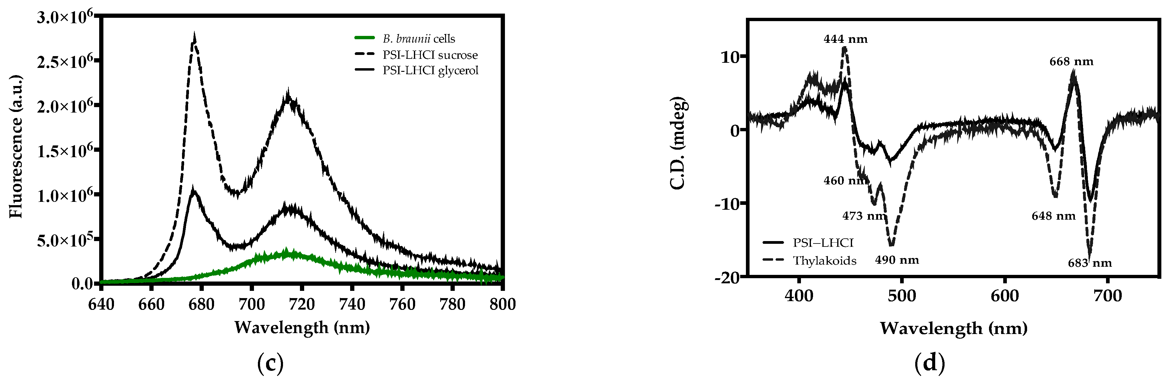 Biotech 11 00009 g001b