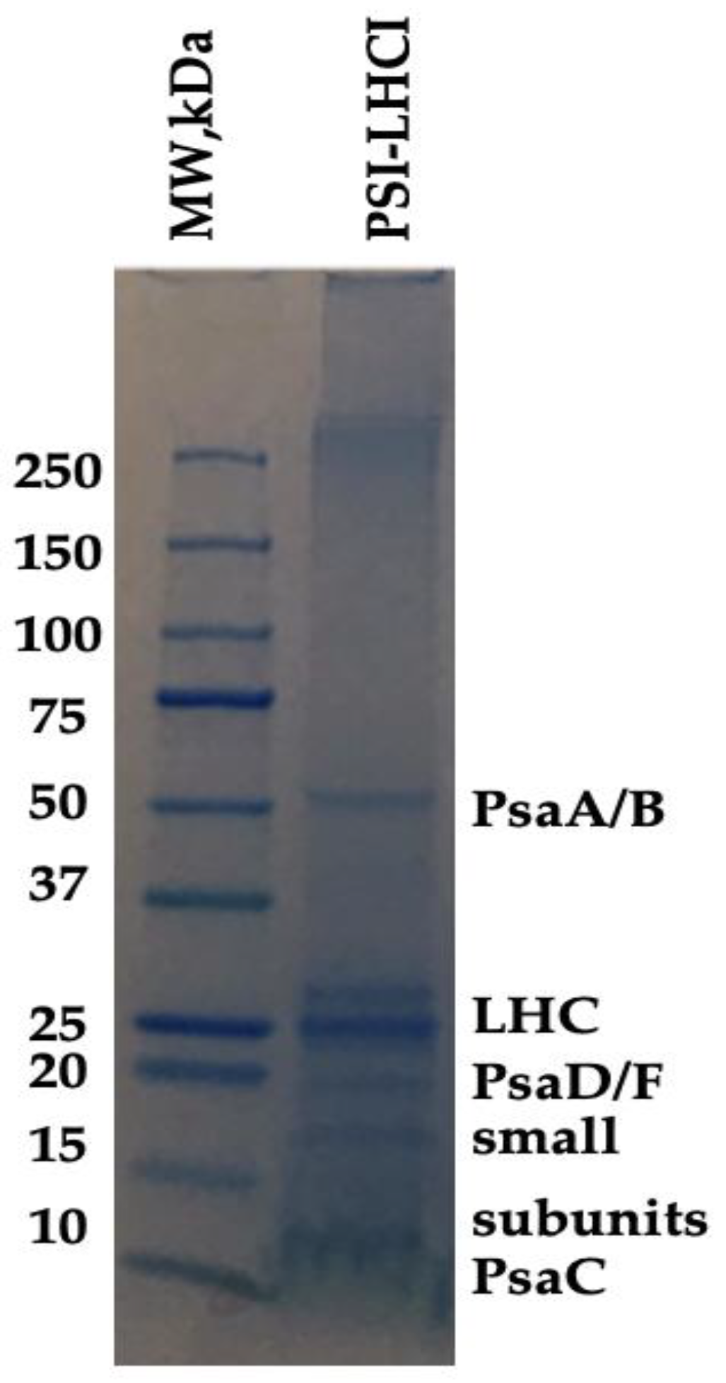 Biotech 11 00009 g002