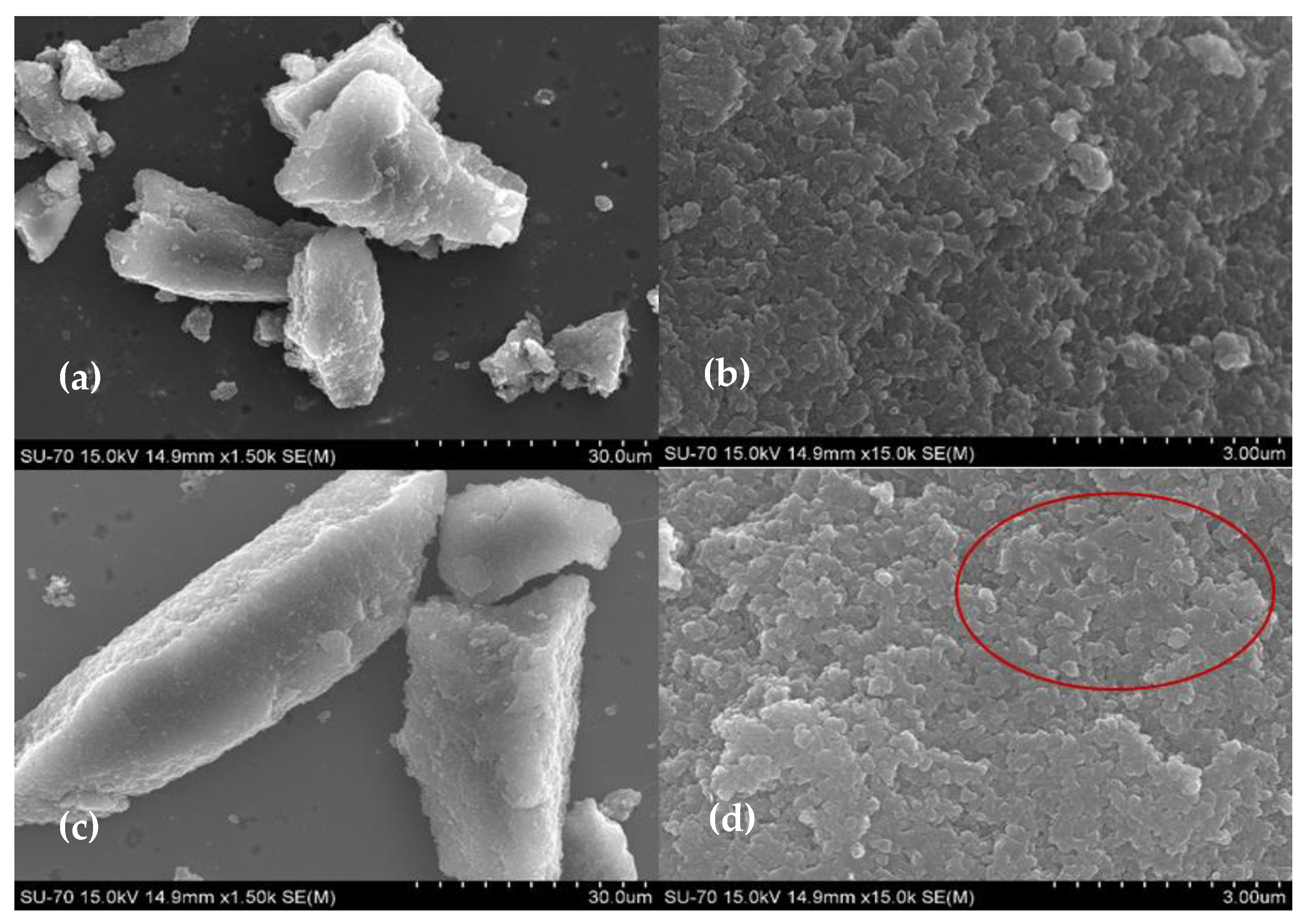 Biotech 11 00010 g001