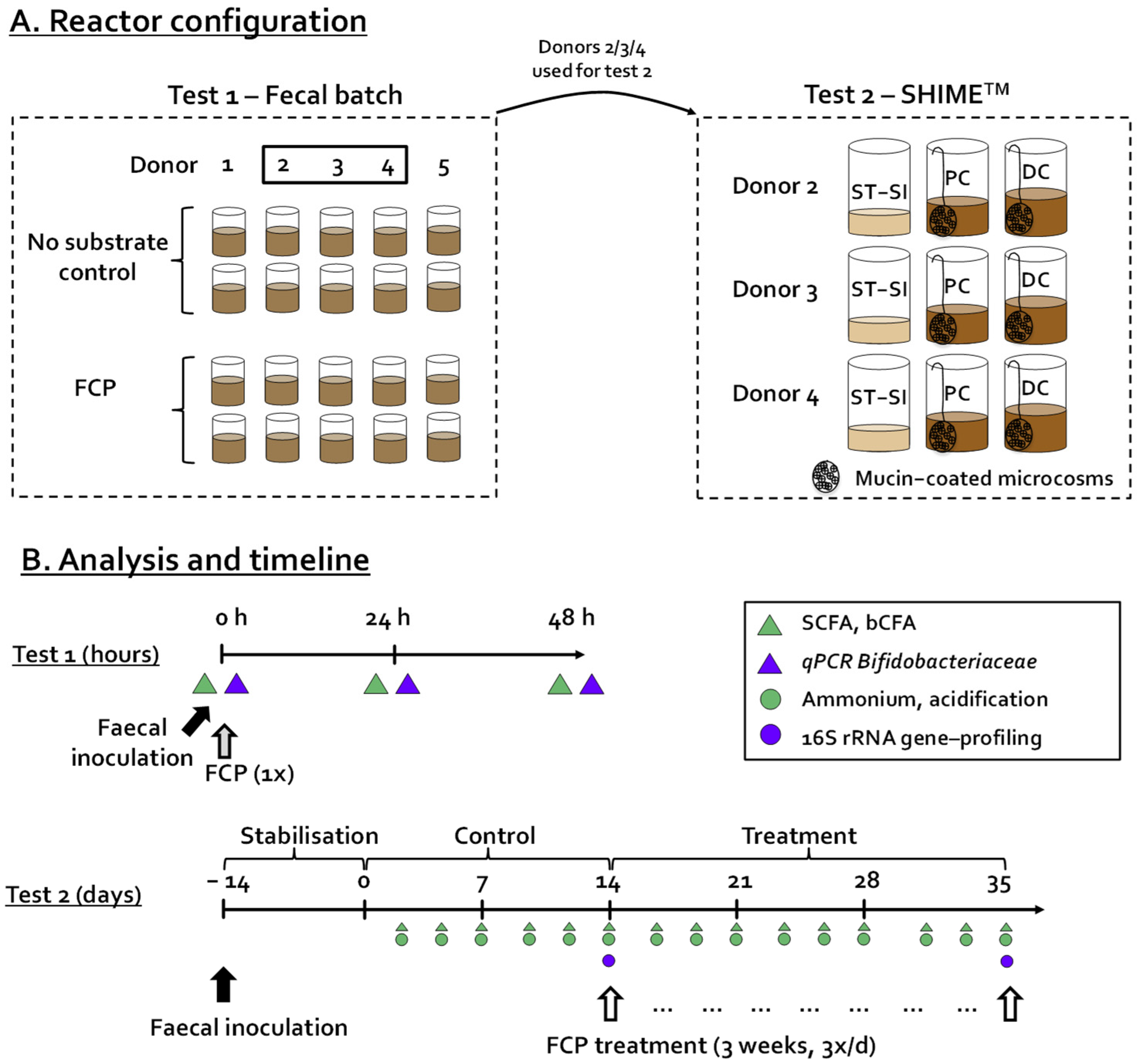 Biotech 11 00014 g001