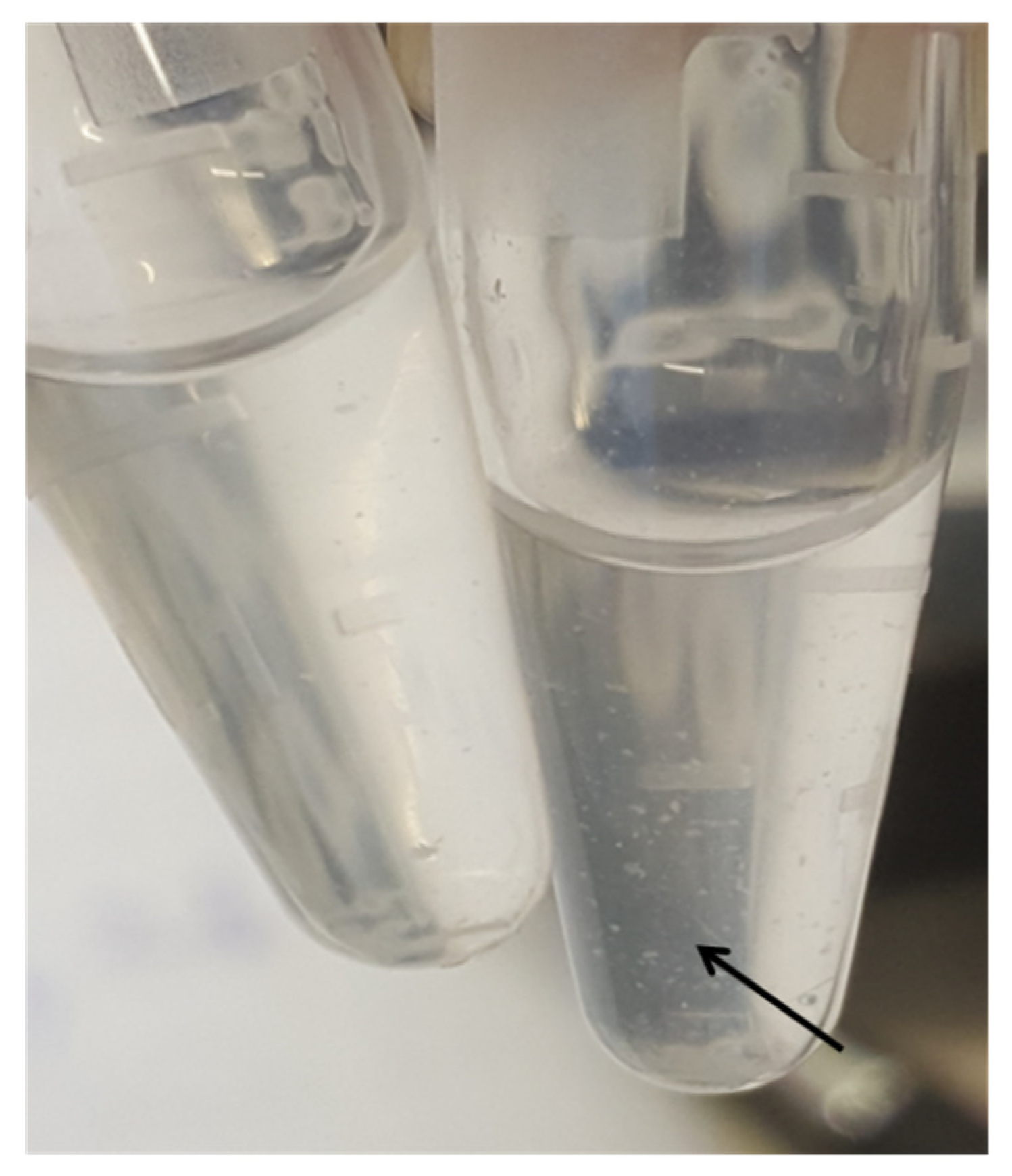 Biotech 11 00017 g001