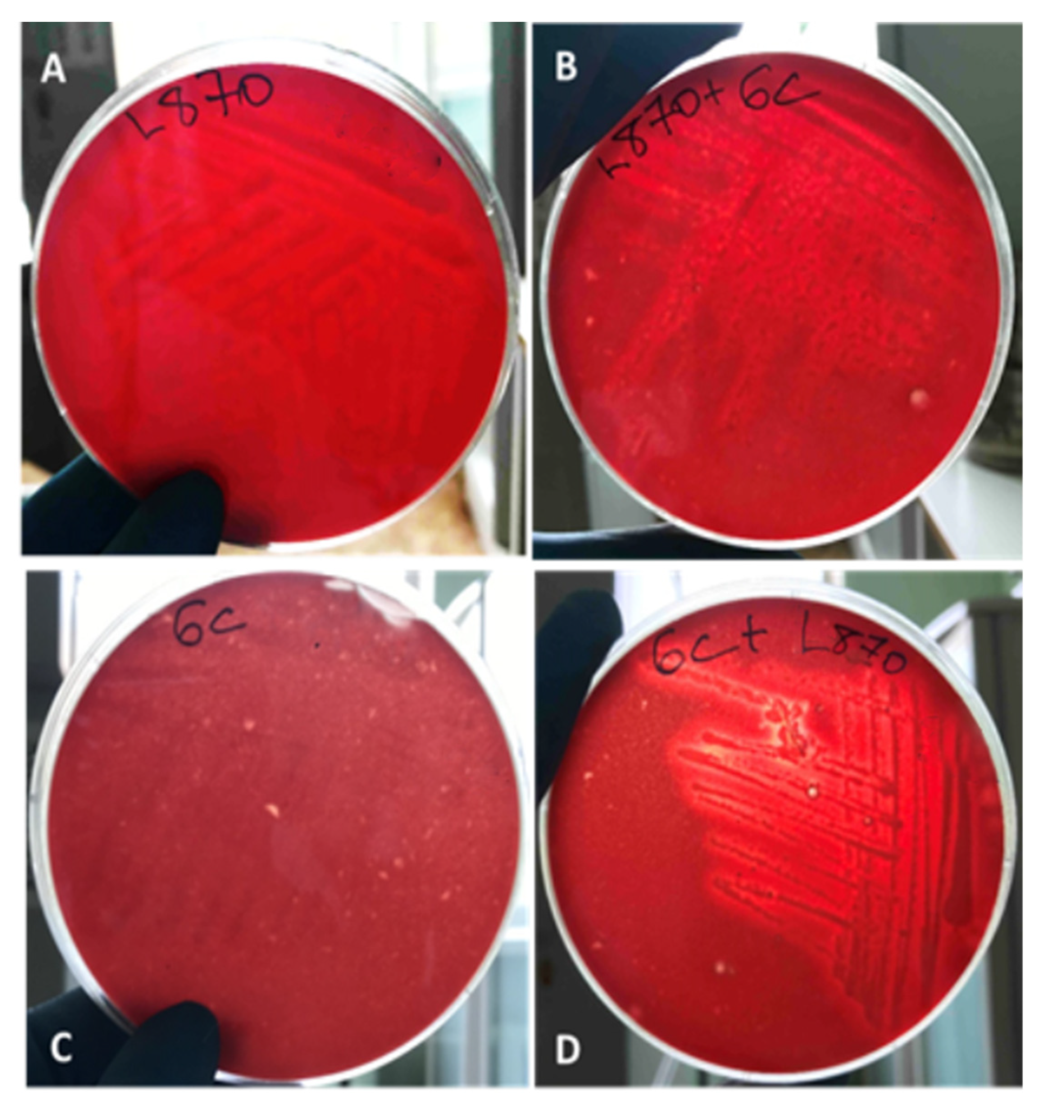 Biotech 11 00017 g003