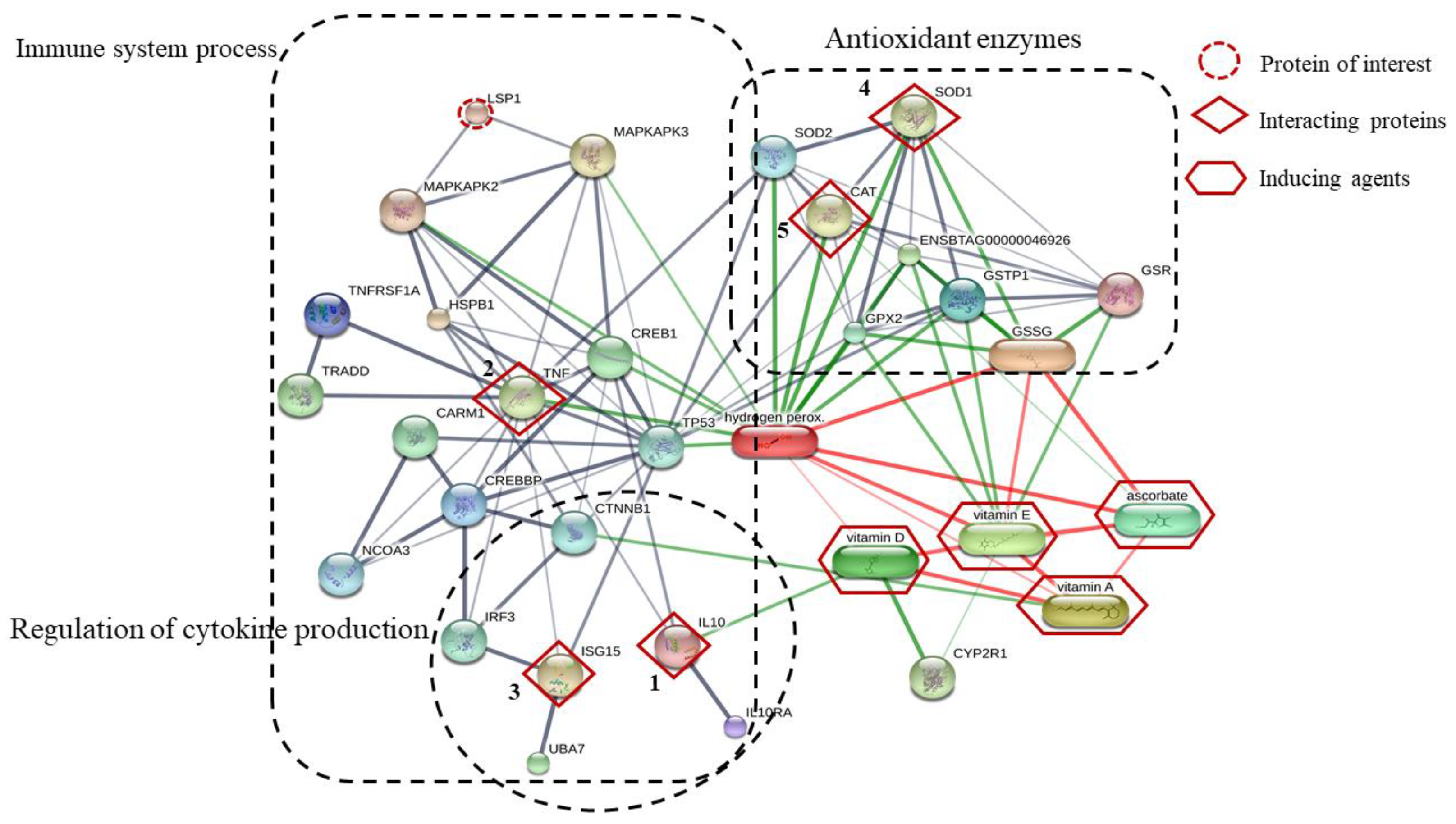 Biotech 11 00020 g005