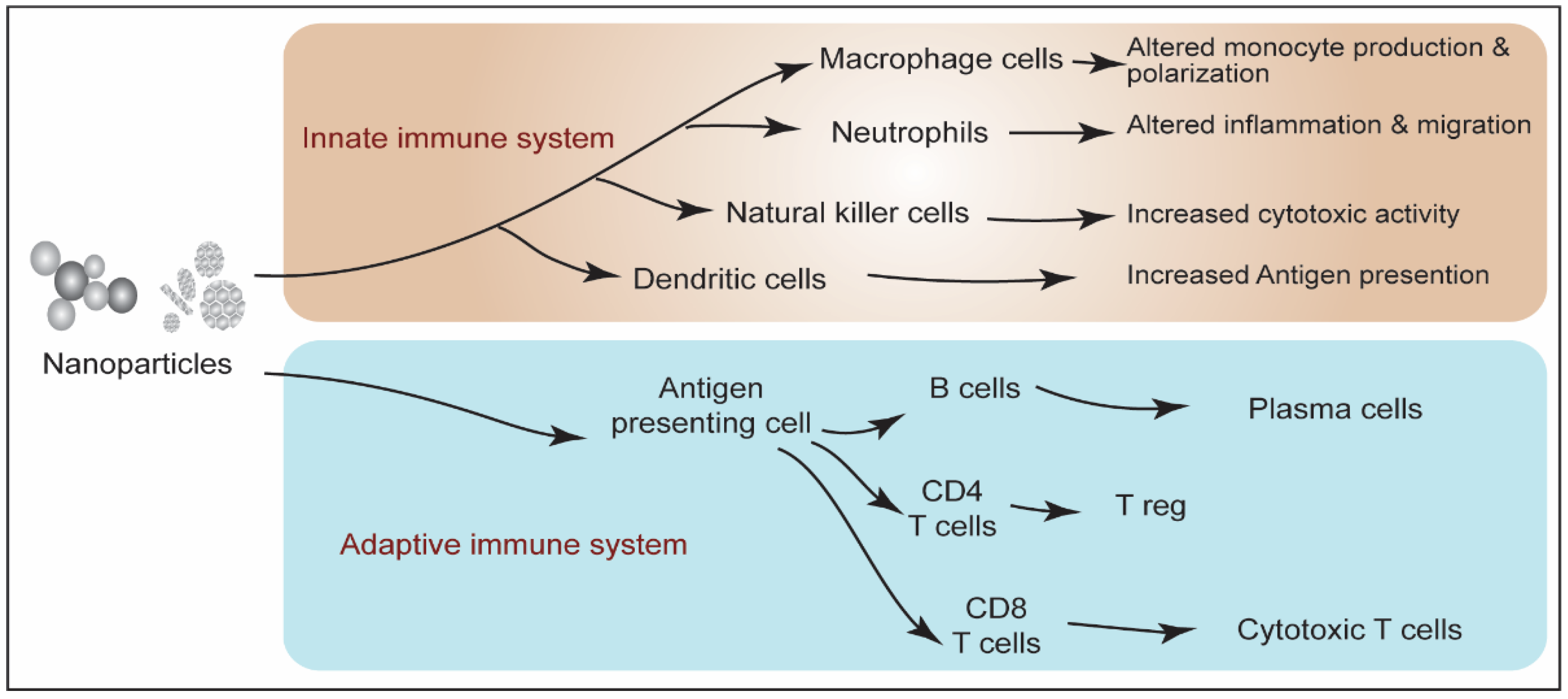 Biotech 11 00042 g004