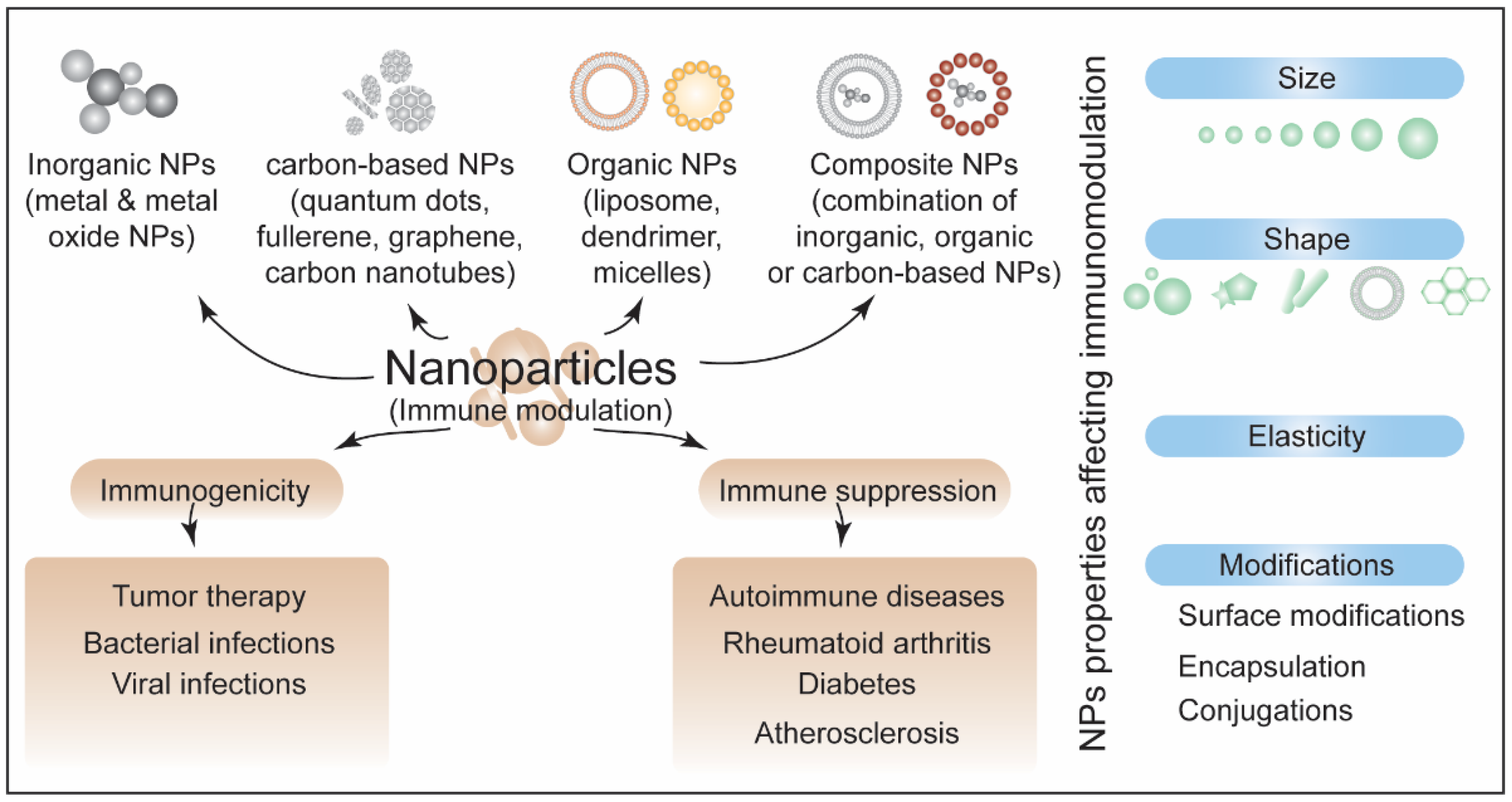 Biotech 11 00042 g007