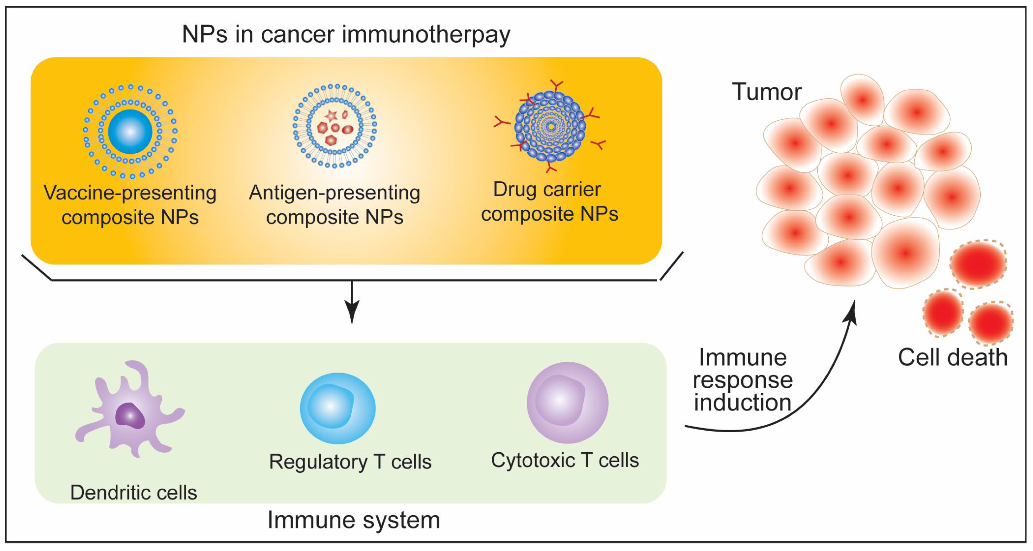 Biotech 11 00042 g008