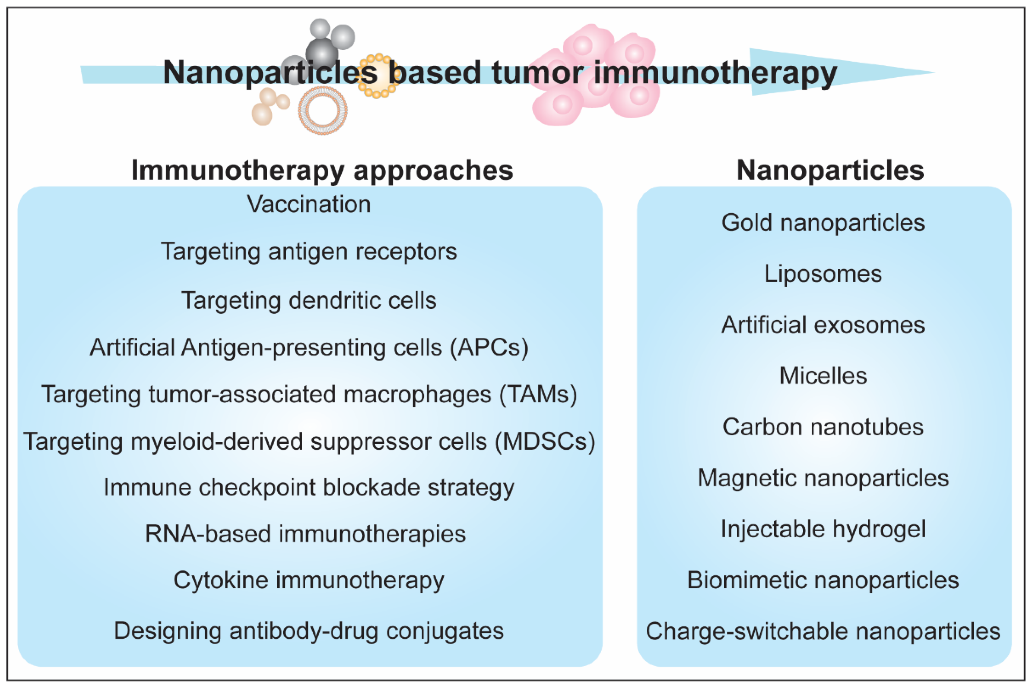 Biotech 11 00042 g009