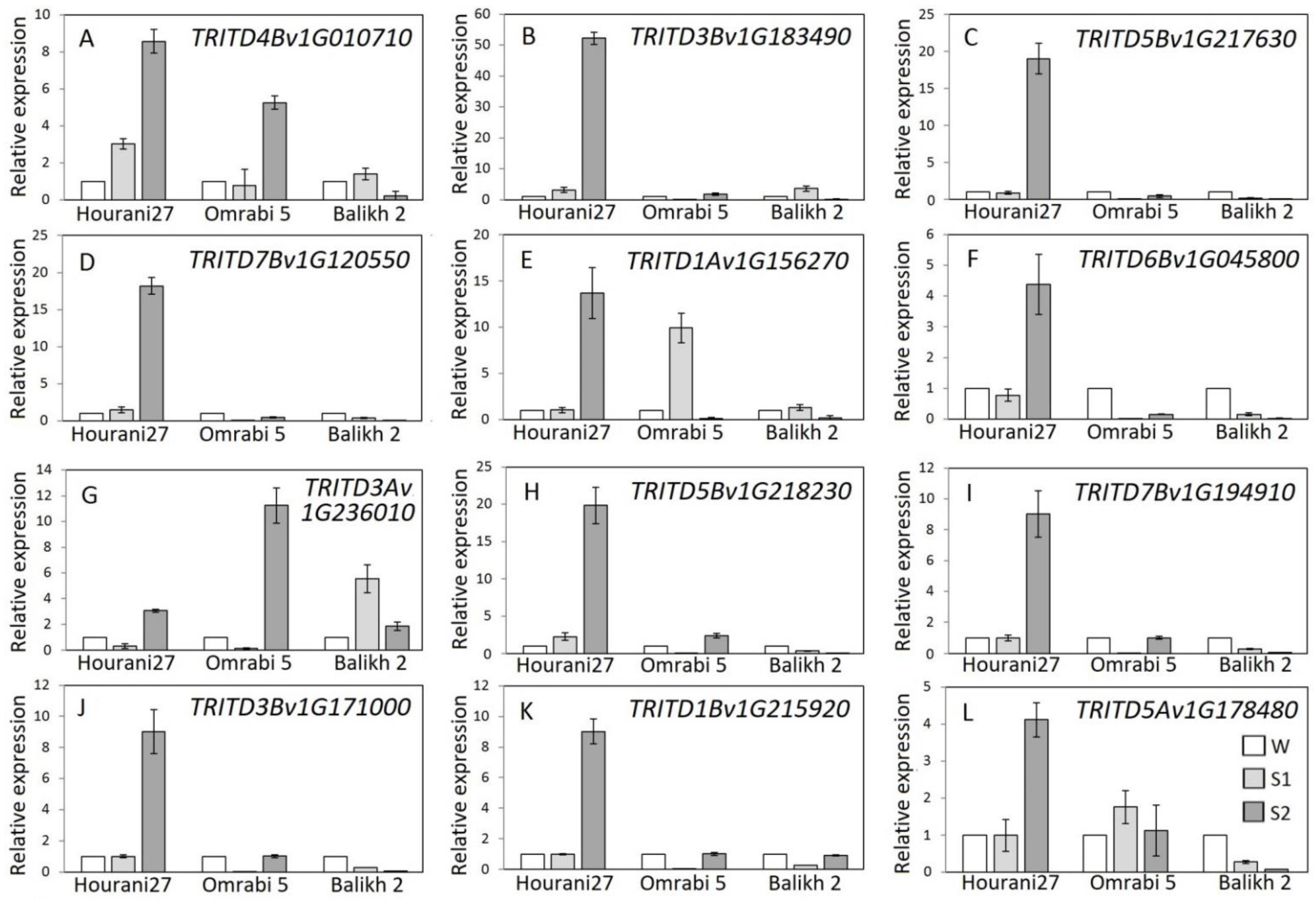Biotech 11 00043 g004 Biotech 11 00043 g004