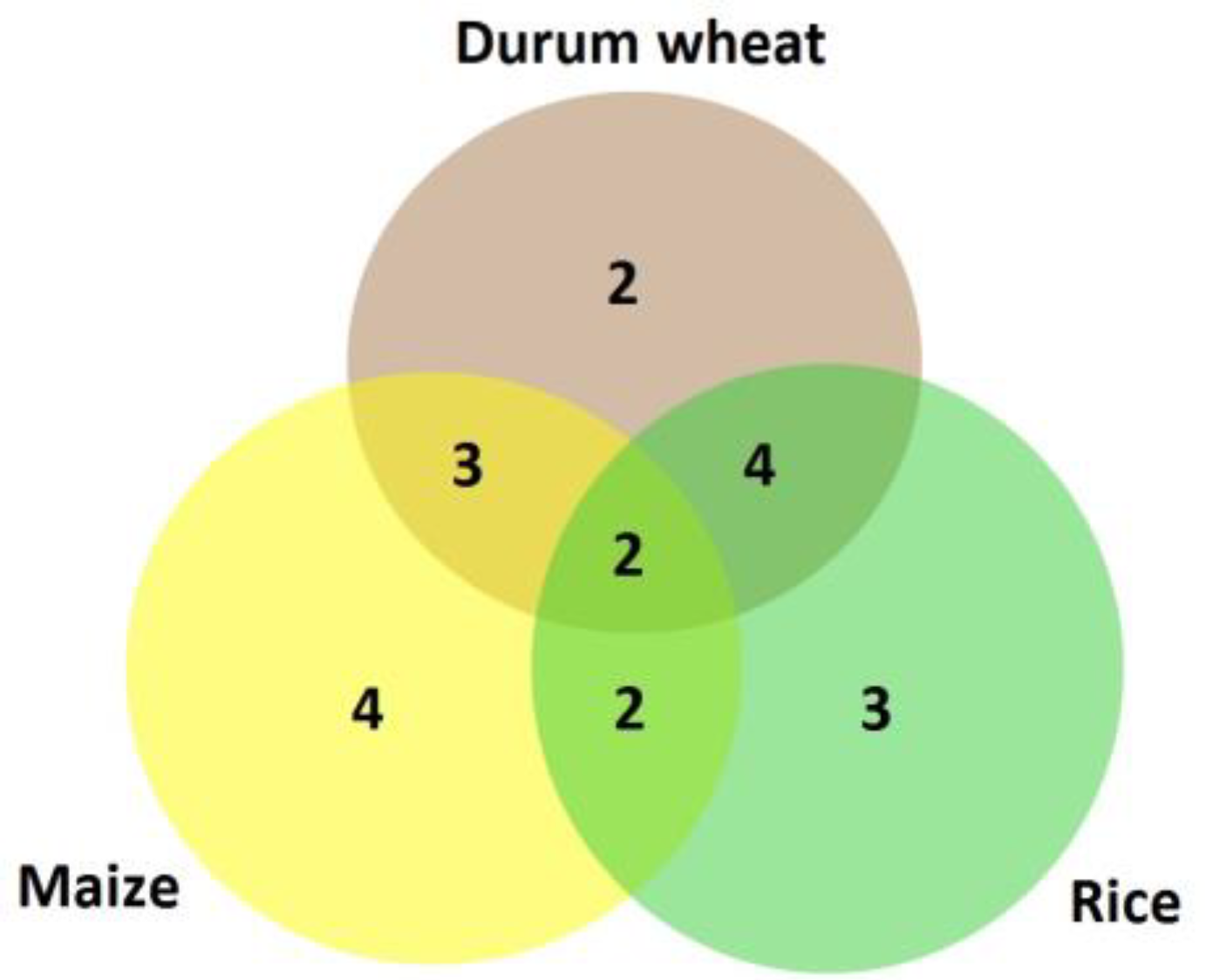 Biotech 11 00043 g006 Biotech 11 00043 g006