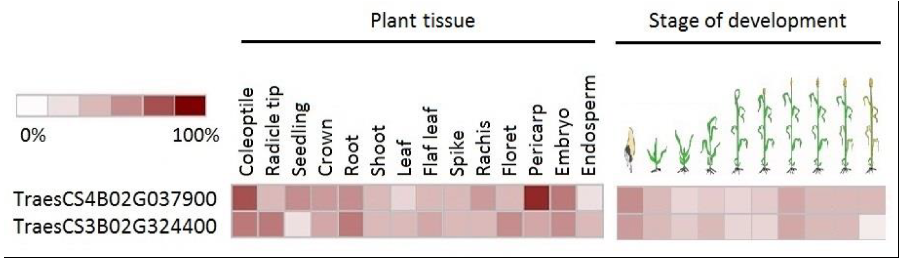 Biotech 11 00043 g007 Biotech 11 00043 g007