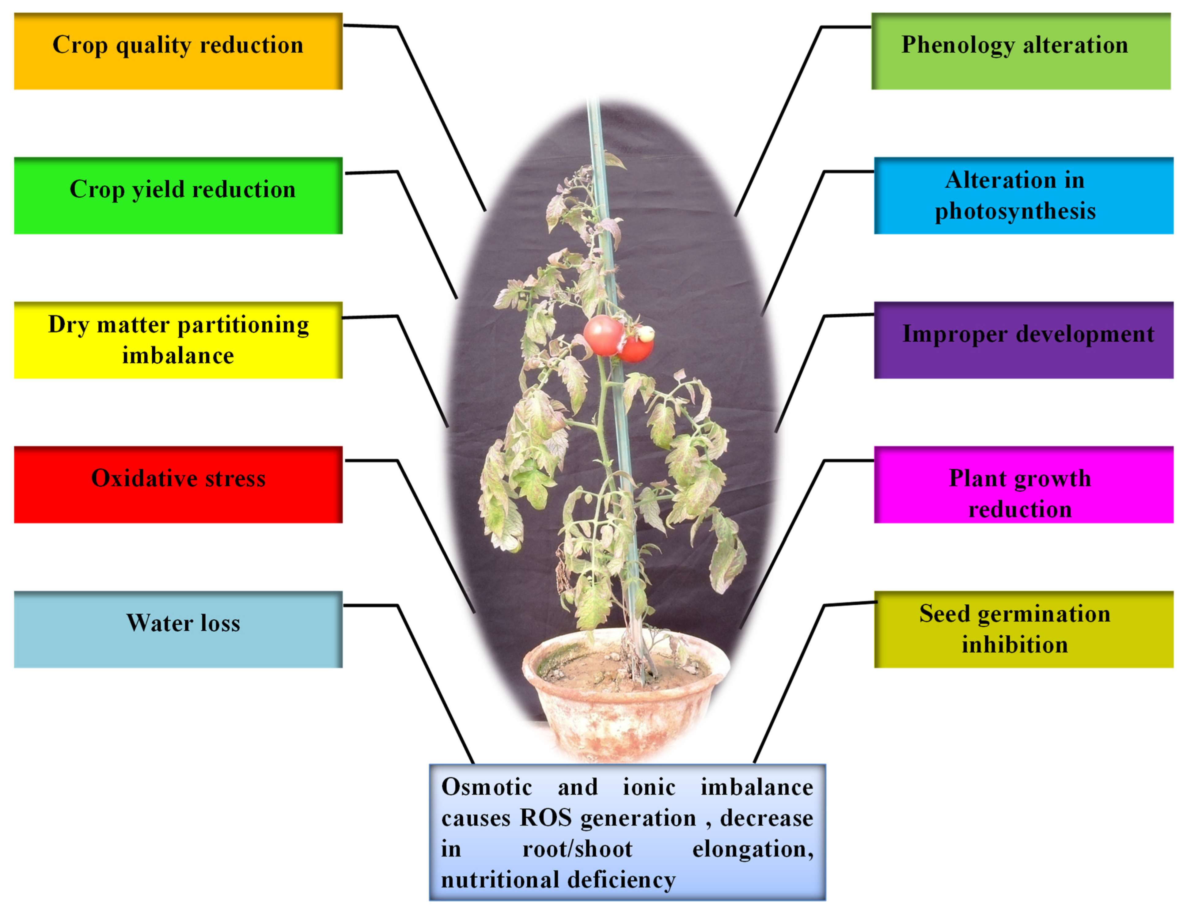 Biotech 11 00048 g001 Biotech 11 00048 g001