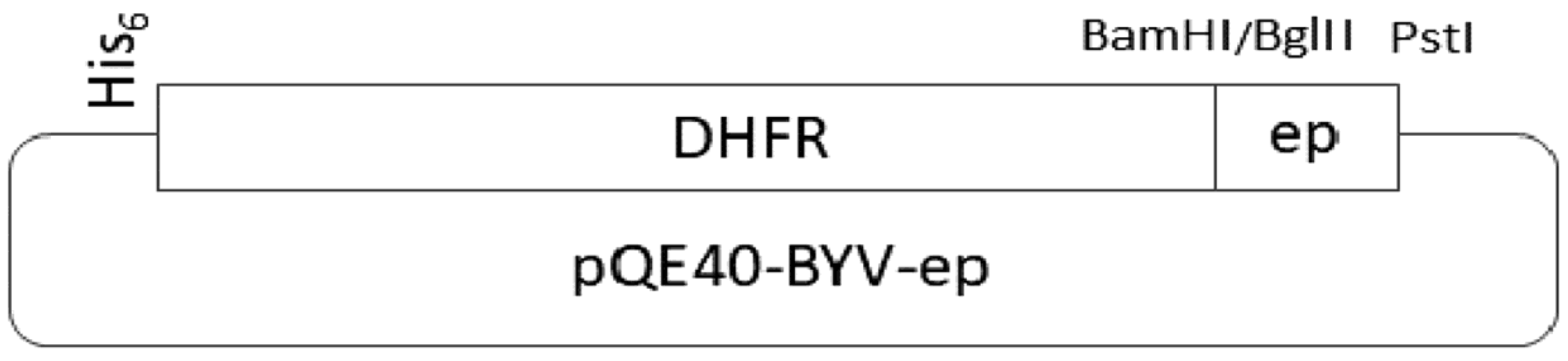 Biotech 11 00052 g002 Biotech 11 00052 g002