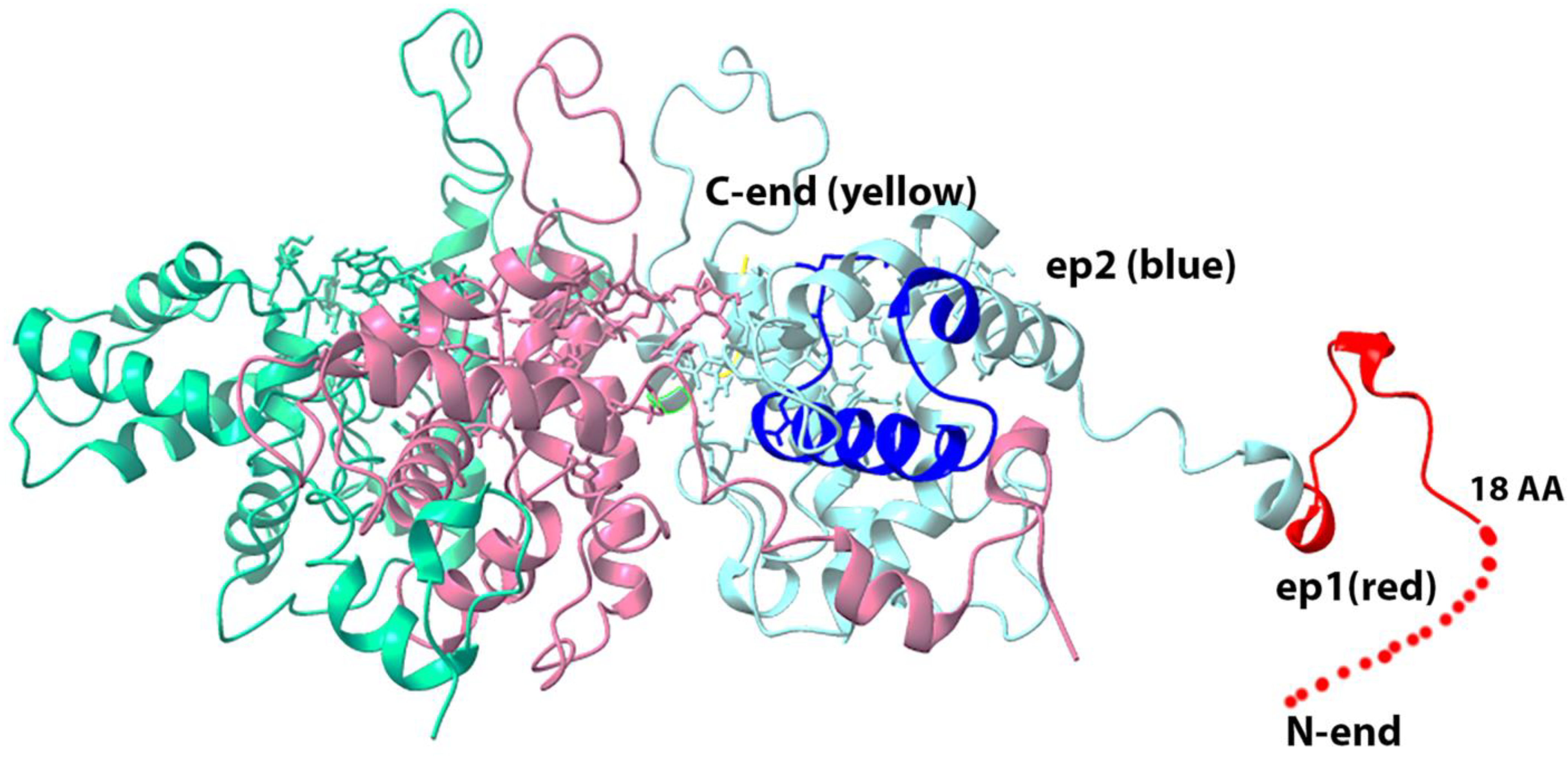 Biotech 11 00052 g004 Biotech 11 00052 g004