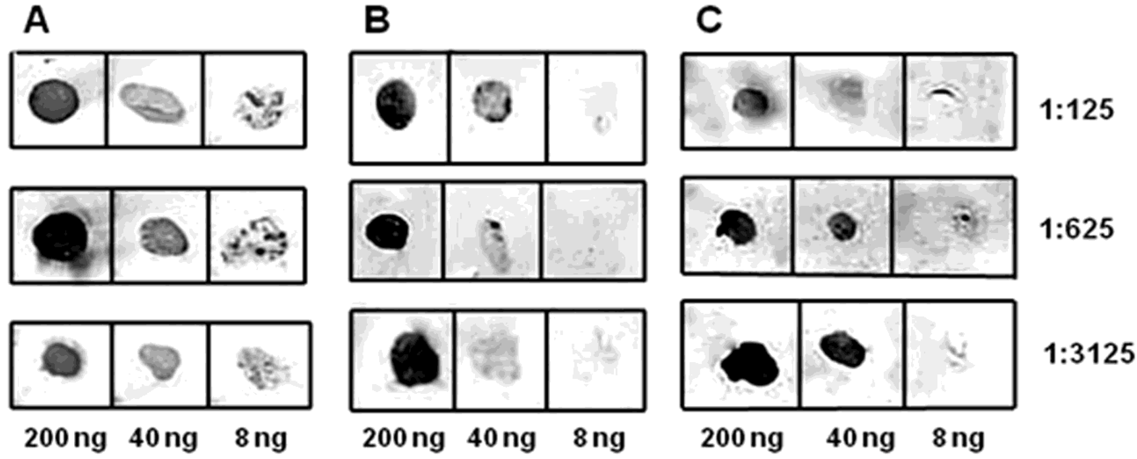 Biotech 11 00052 g006 Biotech 11 00052 g006