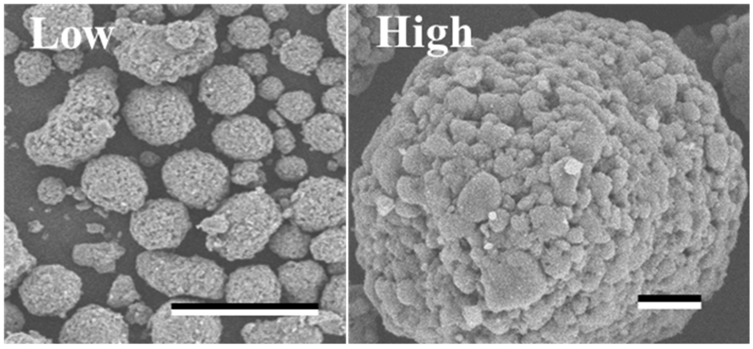 Biotech 12 00002 g002 Biotech 12 00002 g002