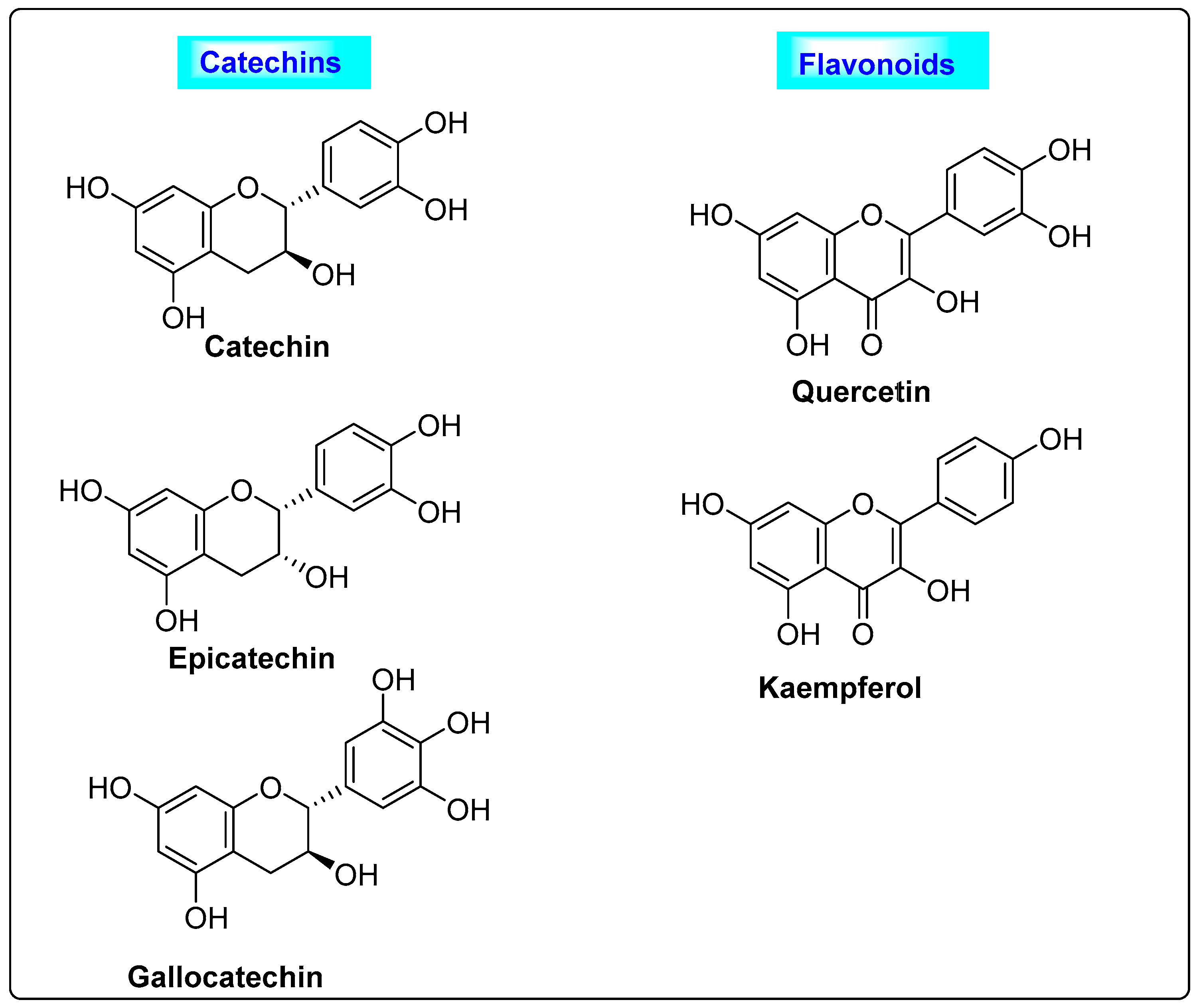 Biotech 12 00004 g010