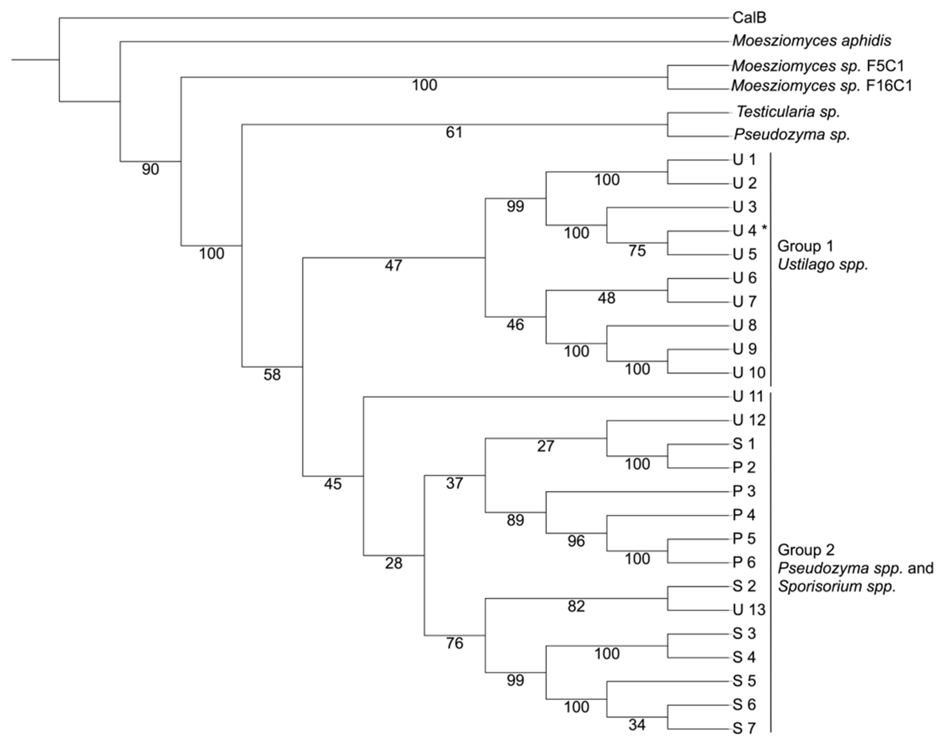 Biotech 12 00006 g002 Biotech 12 00006 g002