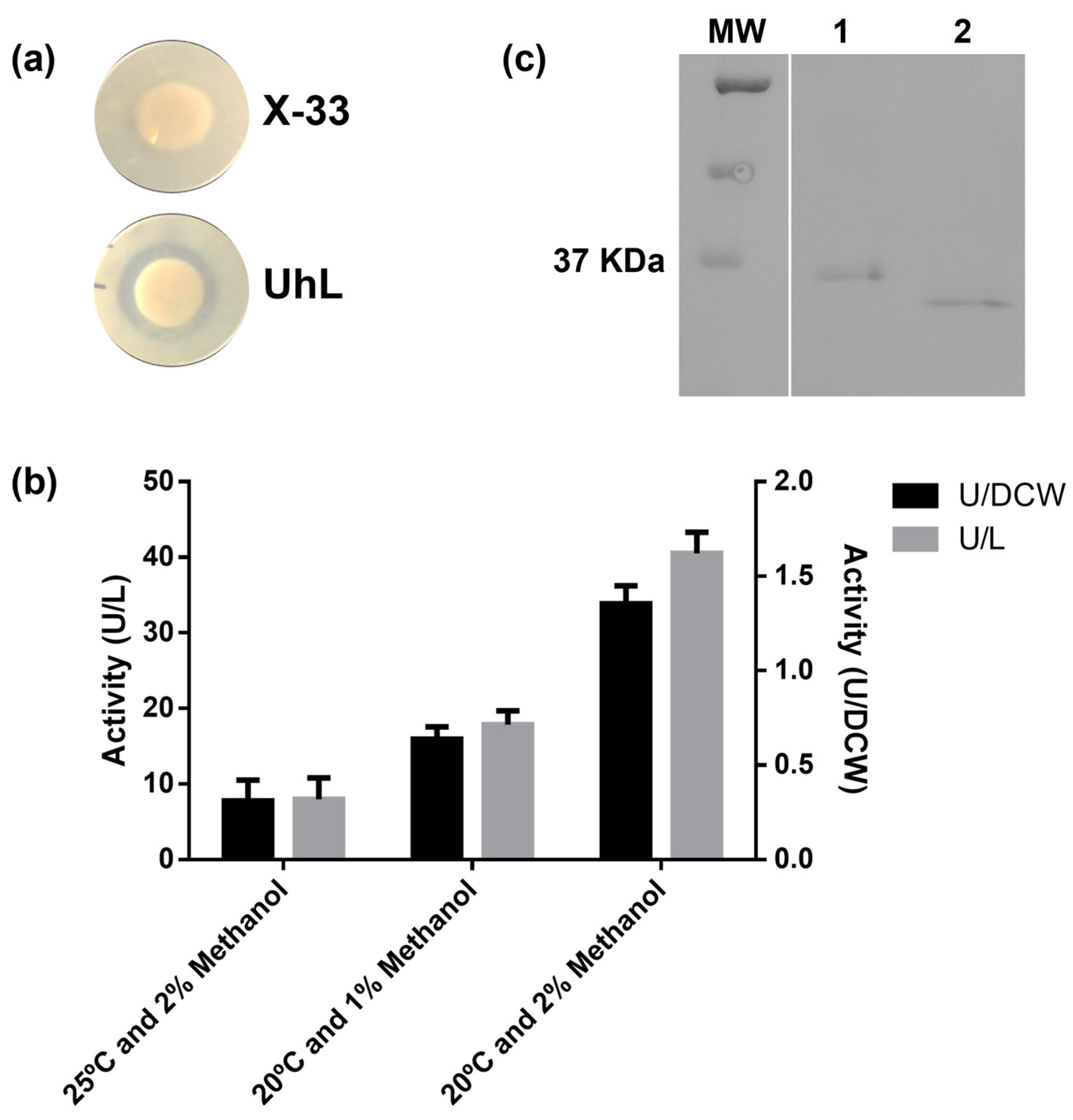 Biotech 12 00006 g004 Biotech 12 00006 g004