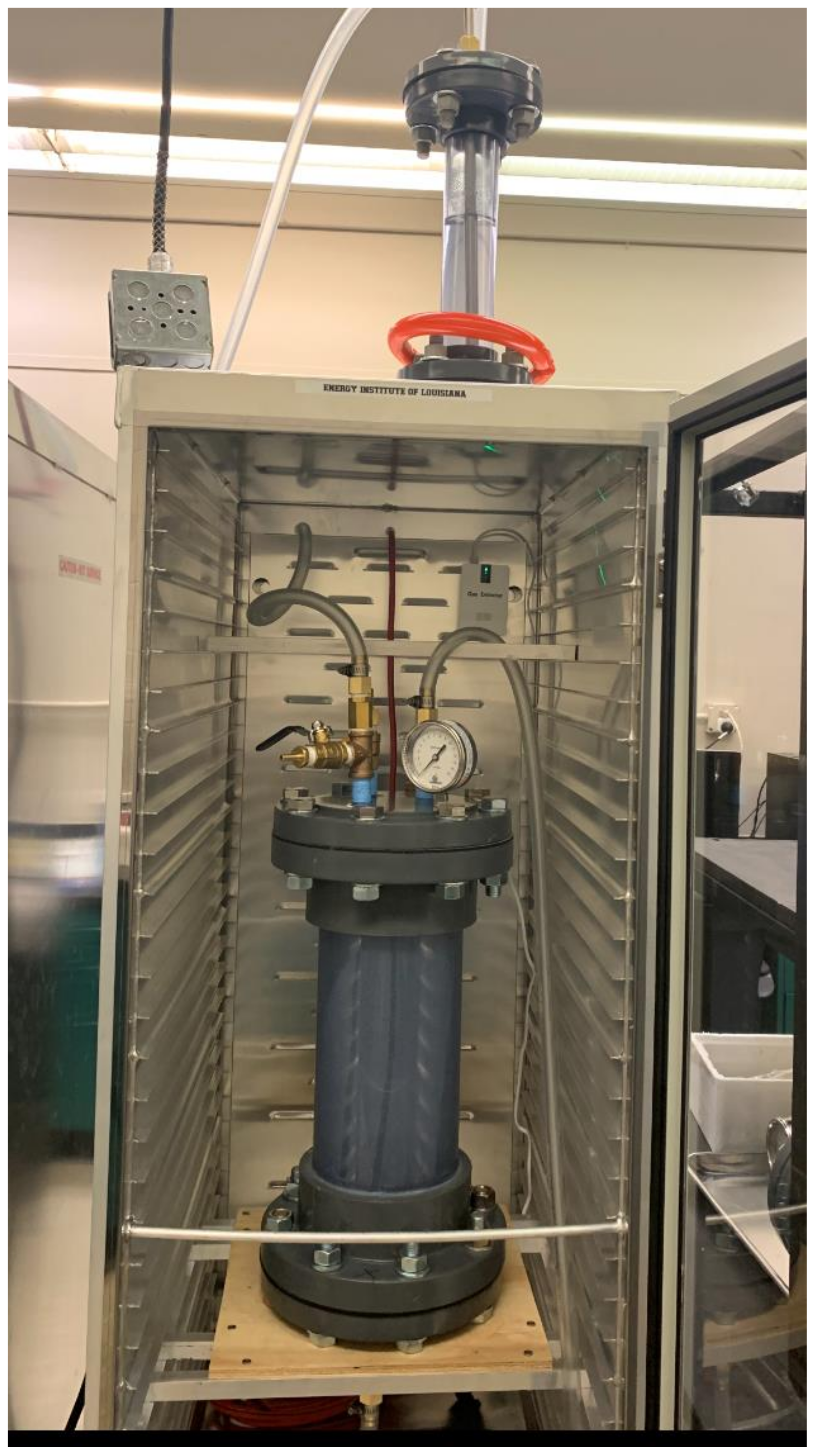 Biotech 12 00008 g001