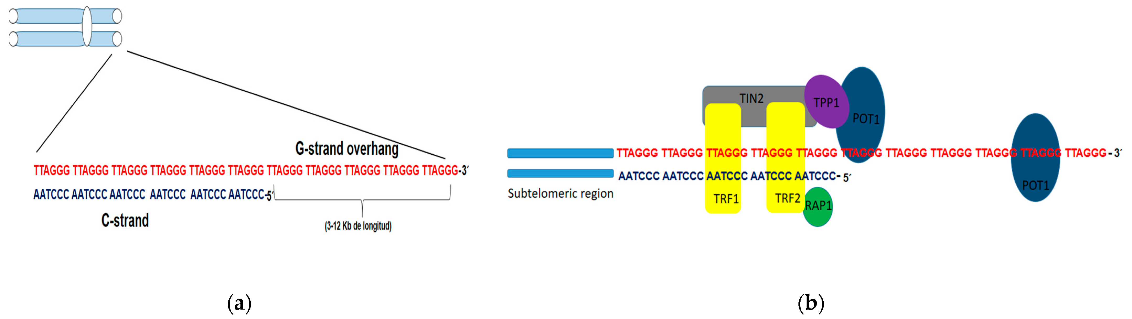 Biotech 12 00014 g001 Biotech 12 00014 g001
