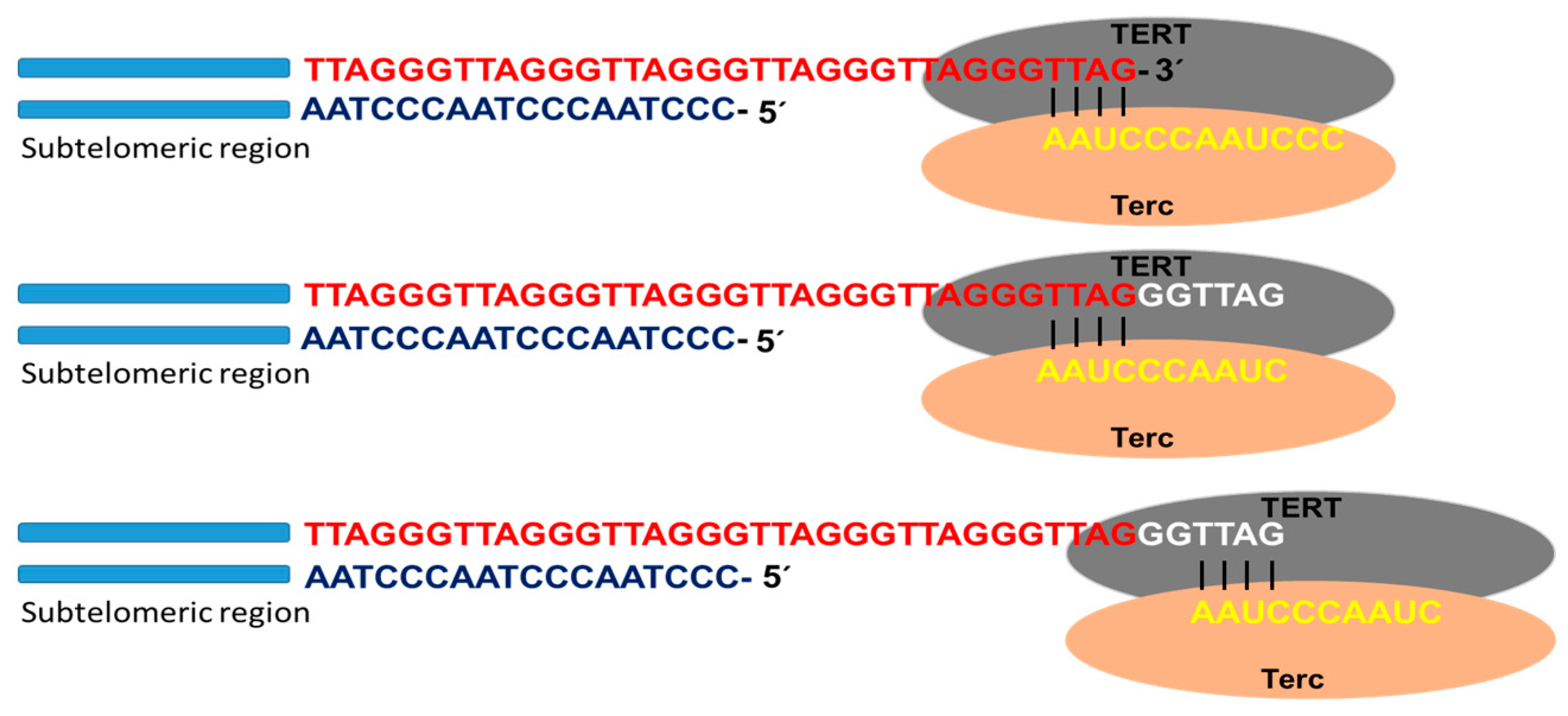 Biotech 12 00014 g002 Biotech 12 00014 g002