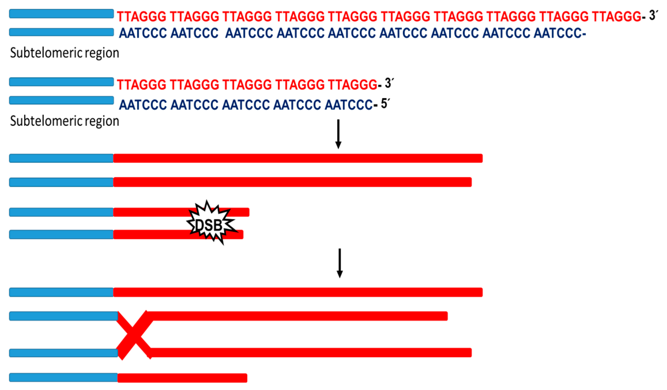 Biotech 12 00014 g003 Biotech 12 00014 g003