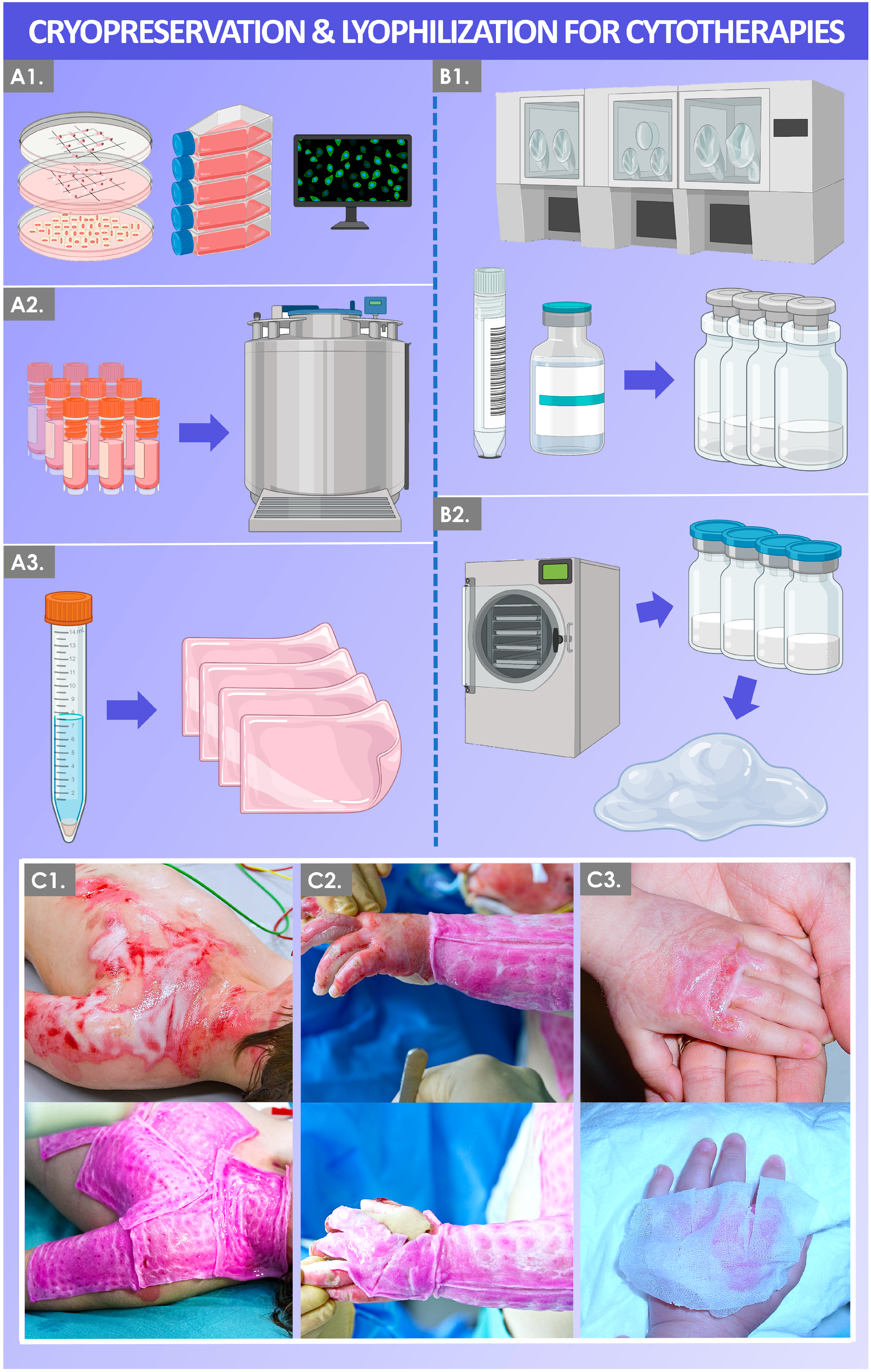 Biotech 12 00015 g001 Biotech 12 00015 g001