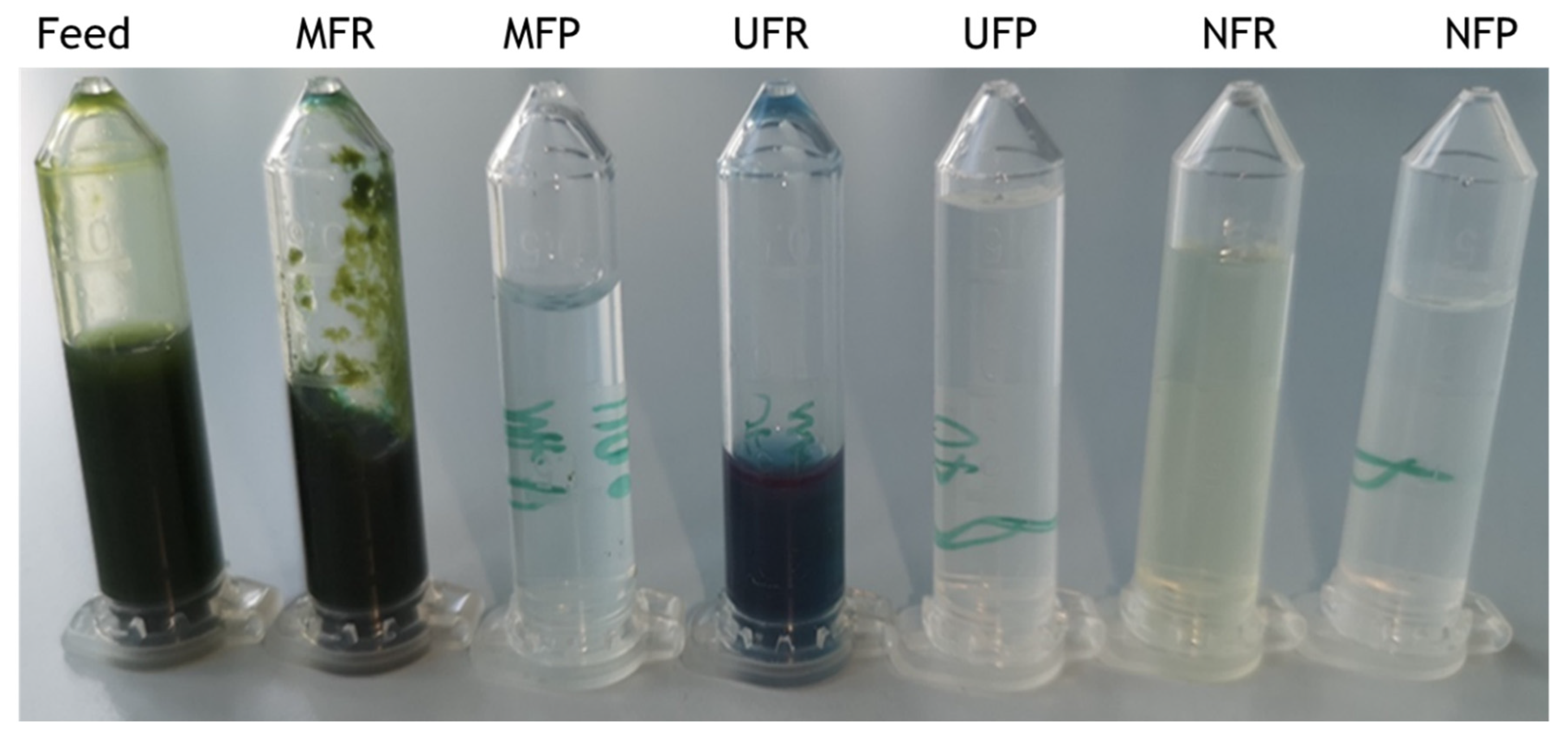Biotech 12 00016 g003 Biotech 12 00016 g003