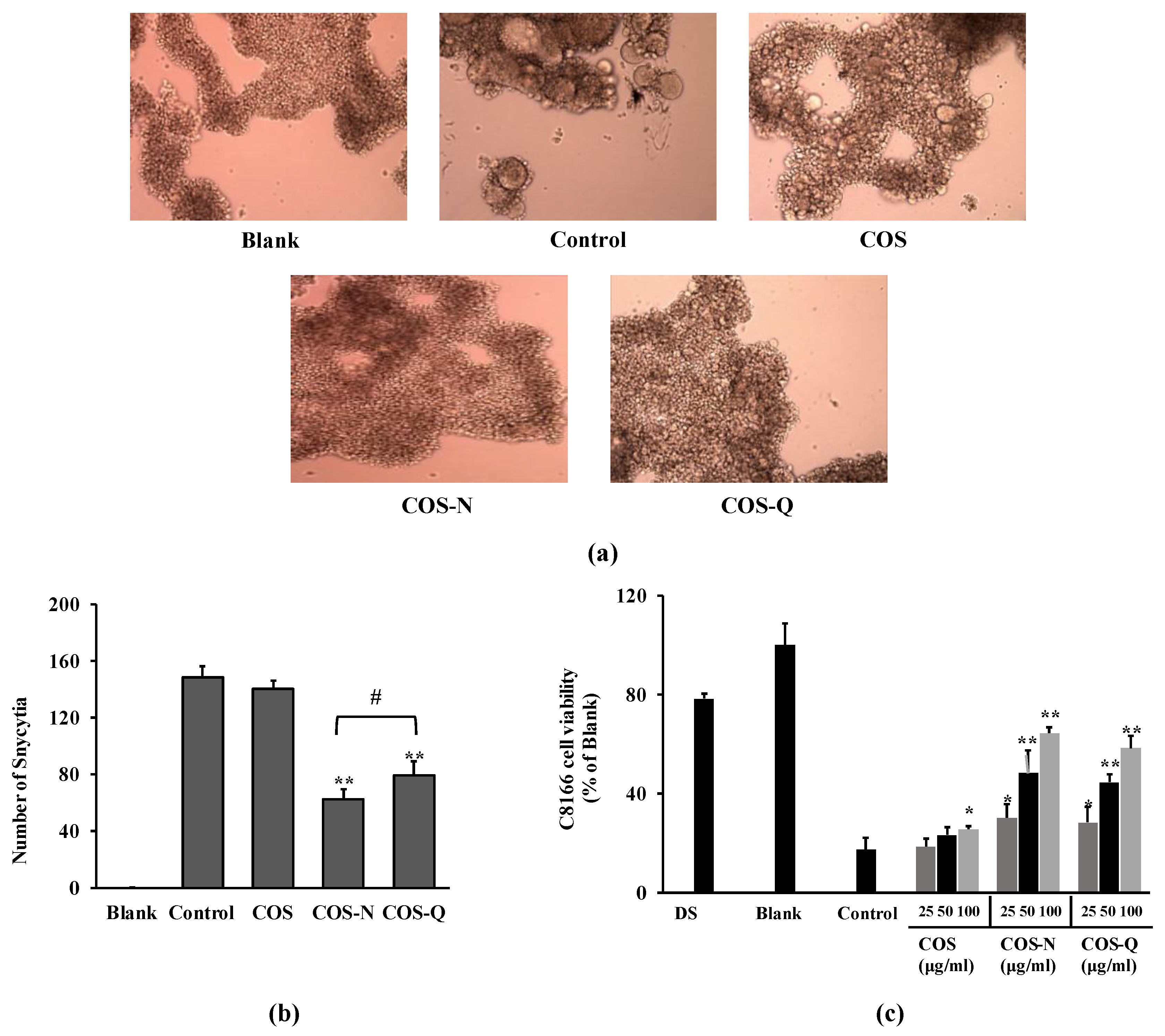 Biotech 12 00018 g001 Biotech 12 00018 g001